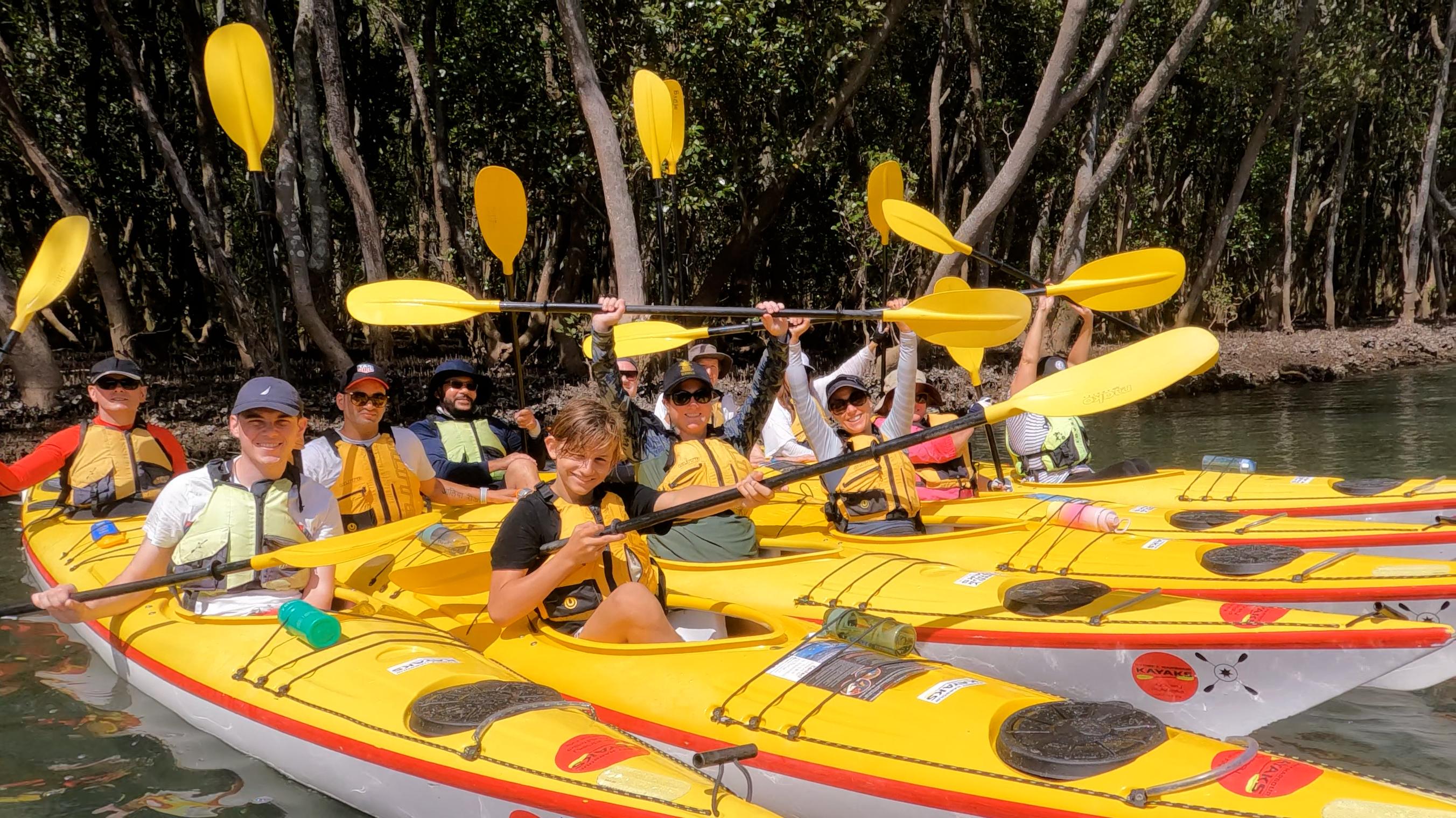 Middle Harbour Eco Kayak Tour with Morning Tea