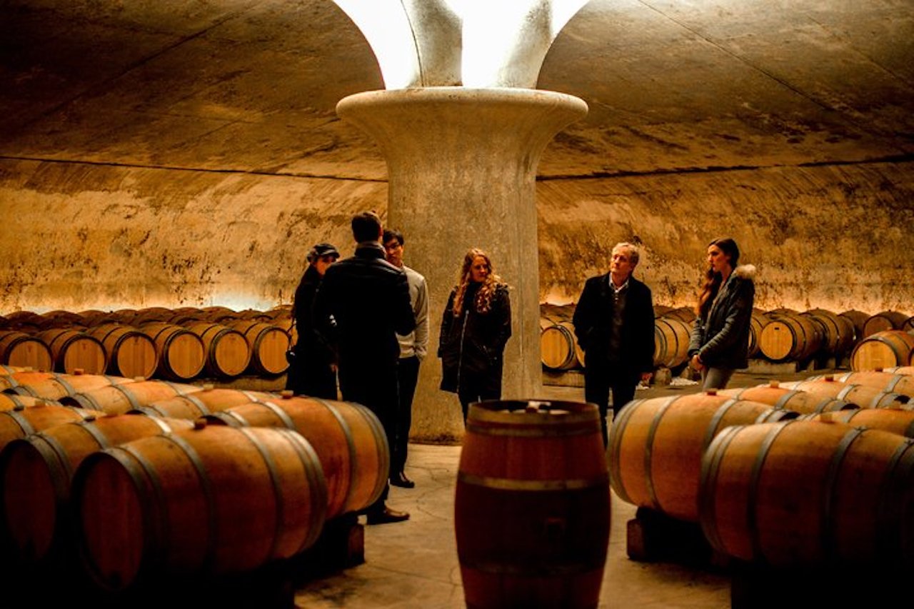 Bordeaux Wine Day: Saint-Émilion & Médoc with Château Visits