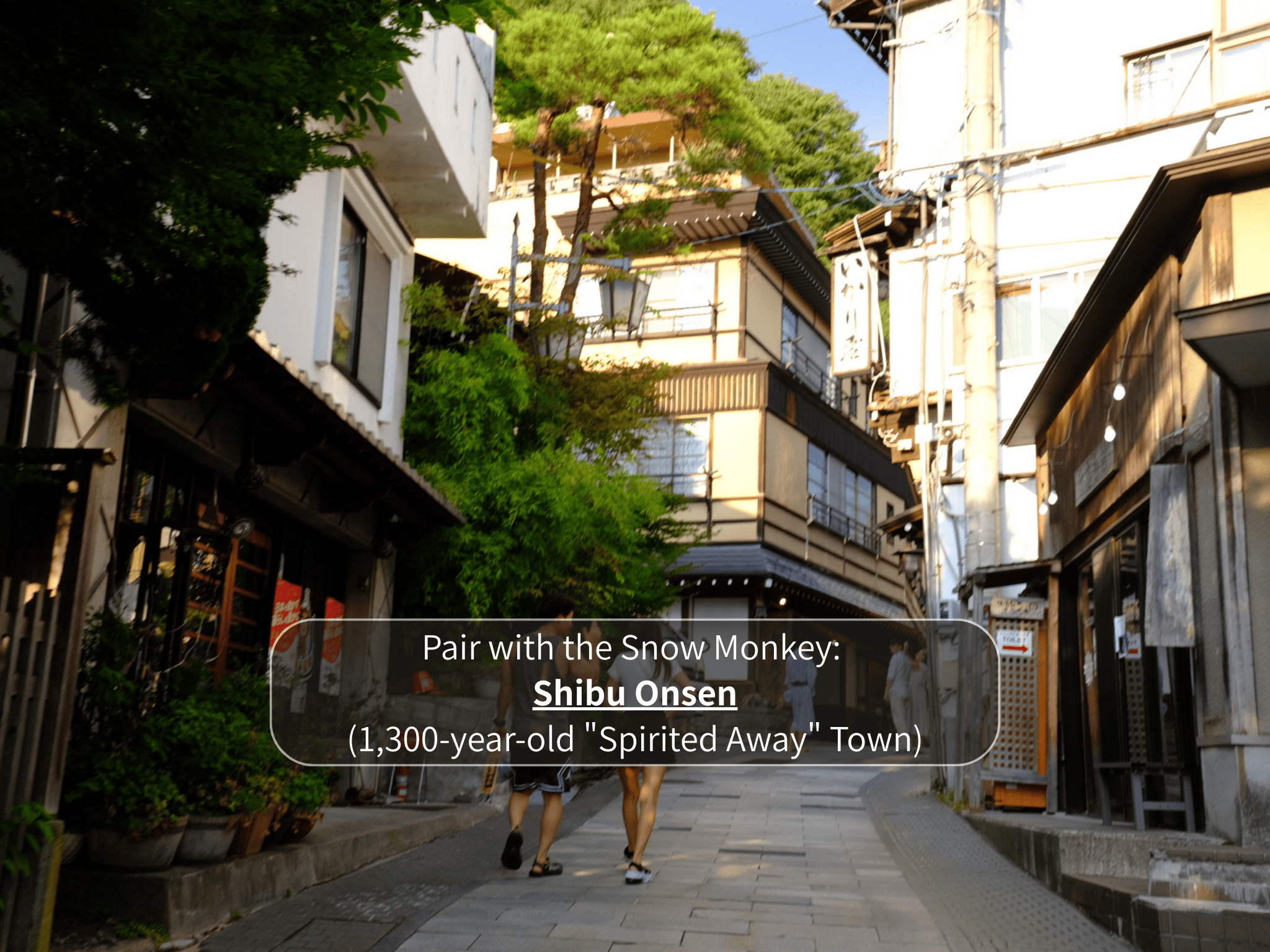 Nagano Snow Monkeys & Hidden Gems Private Day Tour