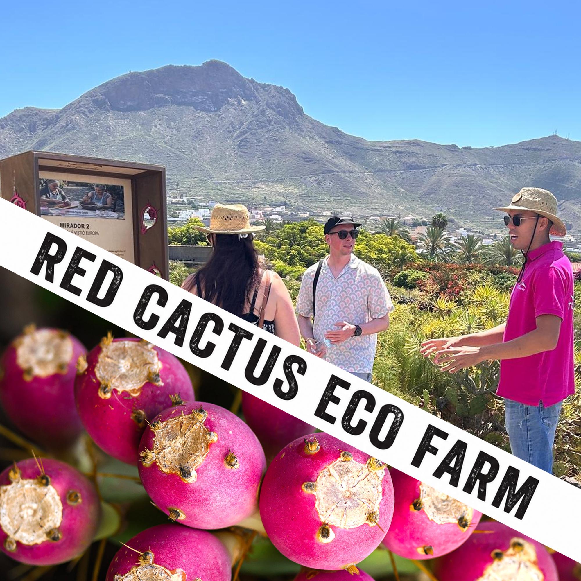 Organic Cactus Farm Visit with Tasting & Museum