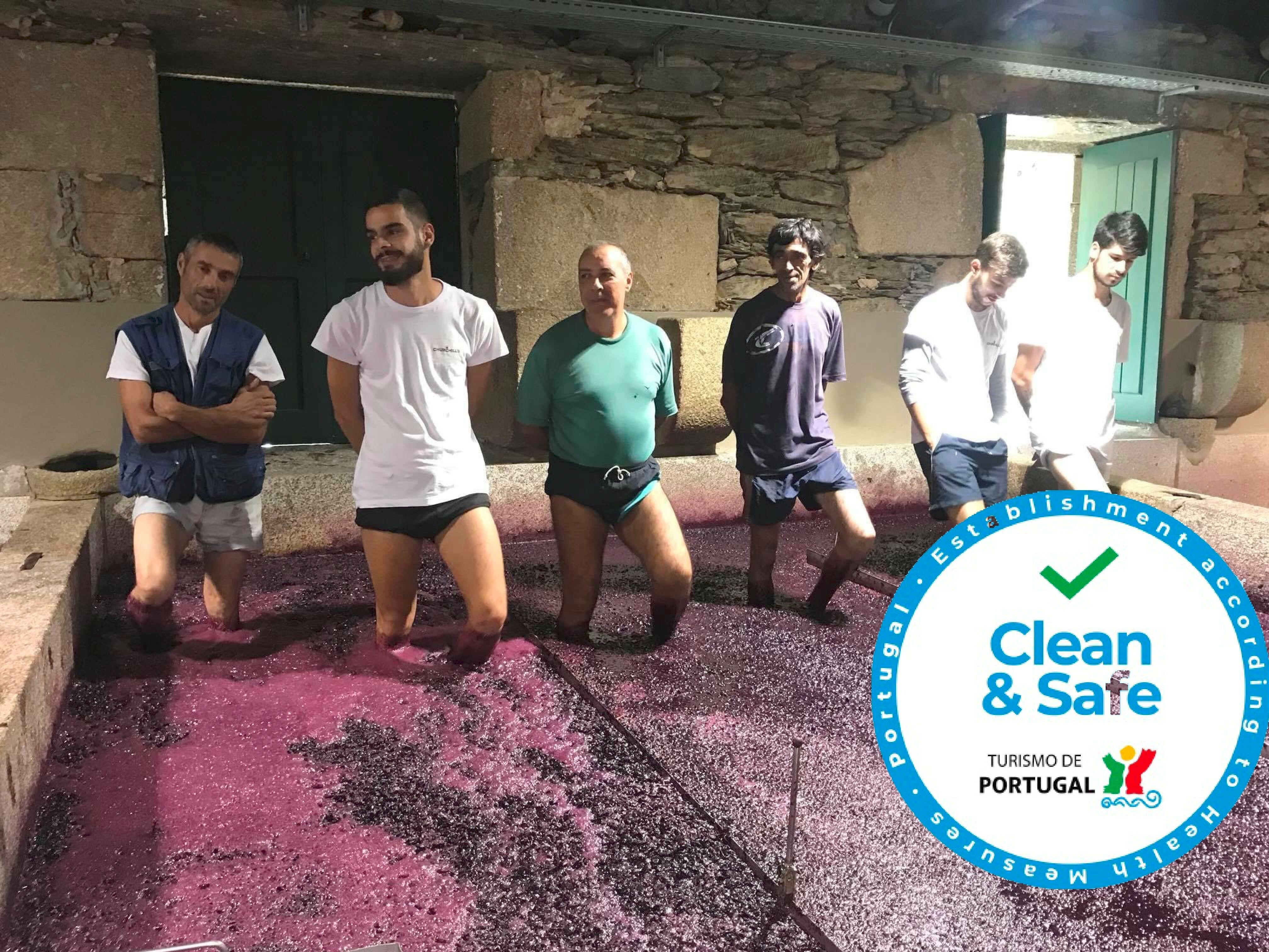 Private Douro Valley Day Tour from Porto with River Cruise & Wine Tasting