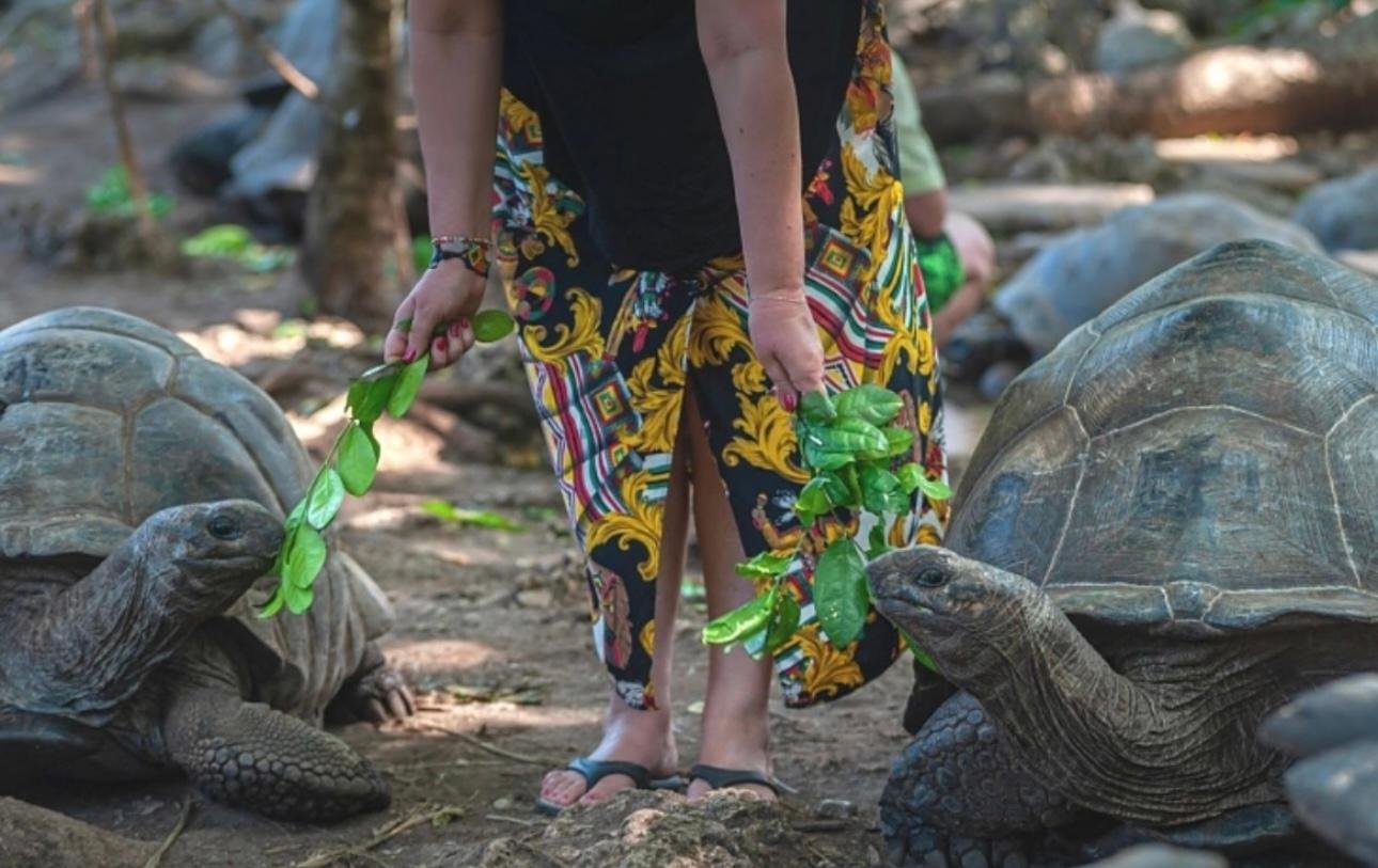 Zanzibar Prison Island & Stone Town Private Day Tour