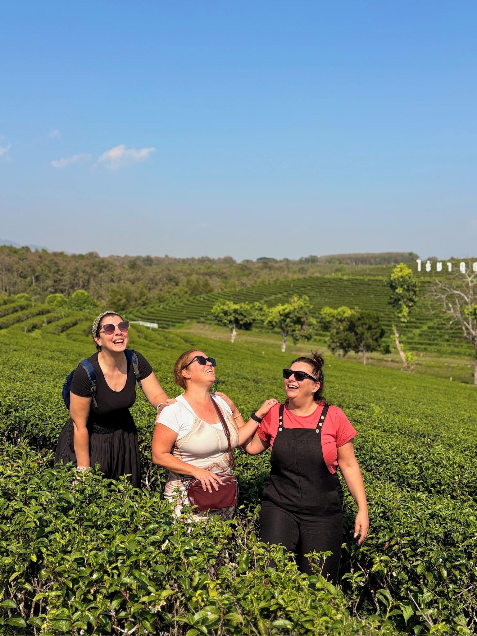 Chiang Rai Full-Day Highlights: Temples, Culture & Golden Triangle