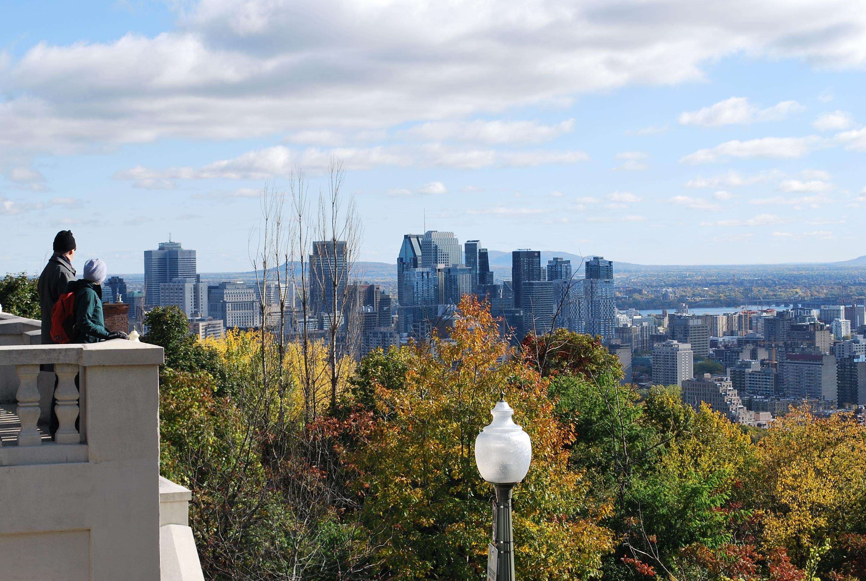 Montreal Half-Day Guided Van Tour