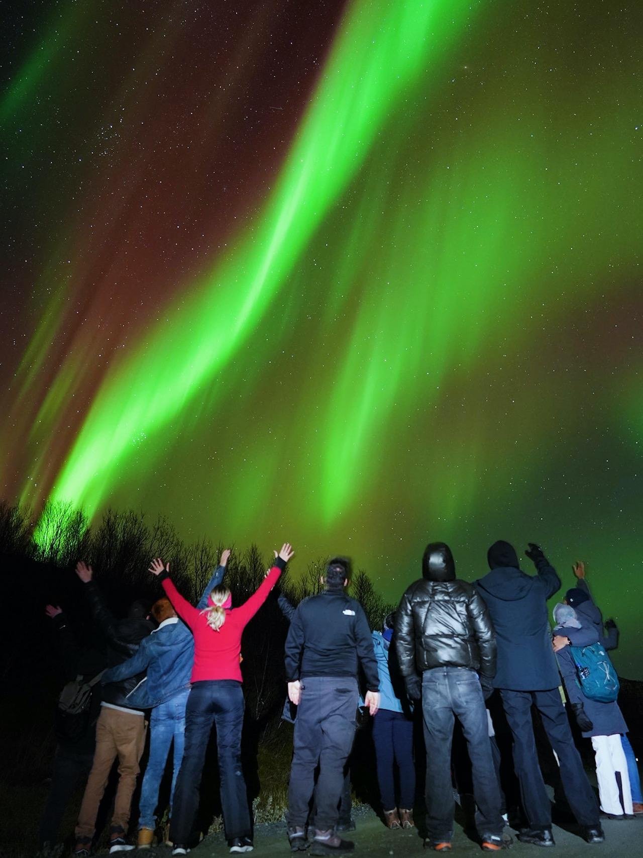 Northern lights chase from Tromsø — image 8