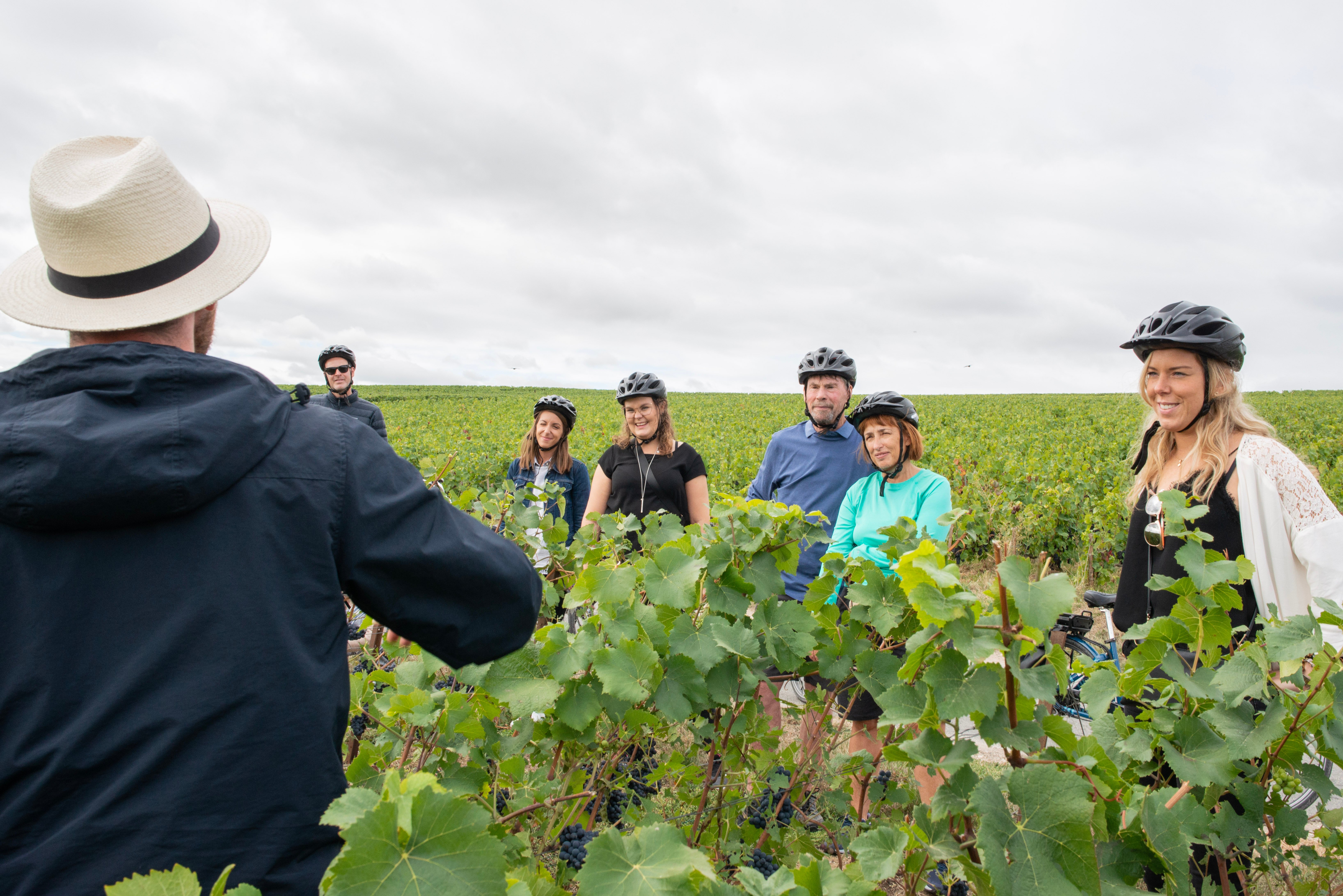 Bike & vineyard Champagne tour — Pinot Noir Verzenay slopes, e-bike, vintage car, family domain — image 3