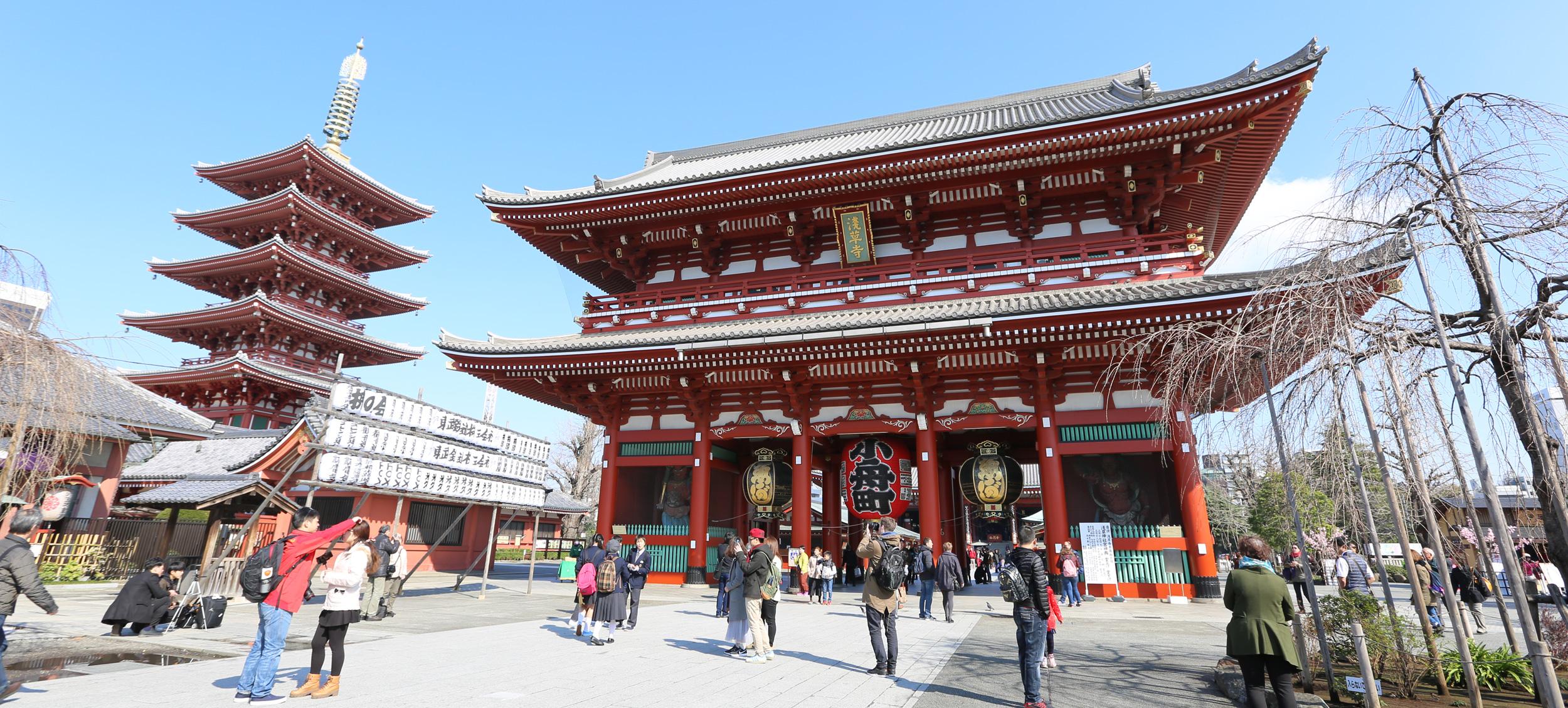 Tokyo: Private City Highlights Tour with Local Guide