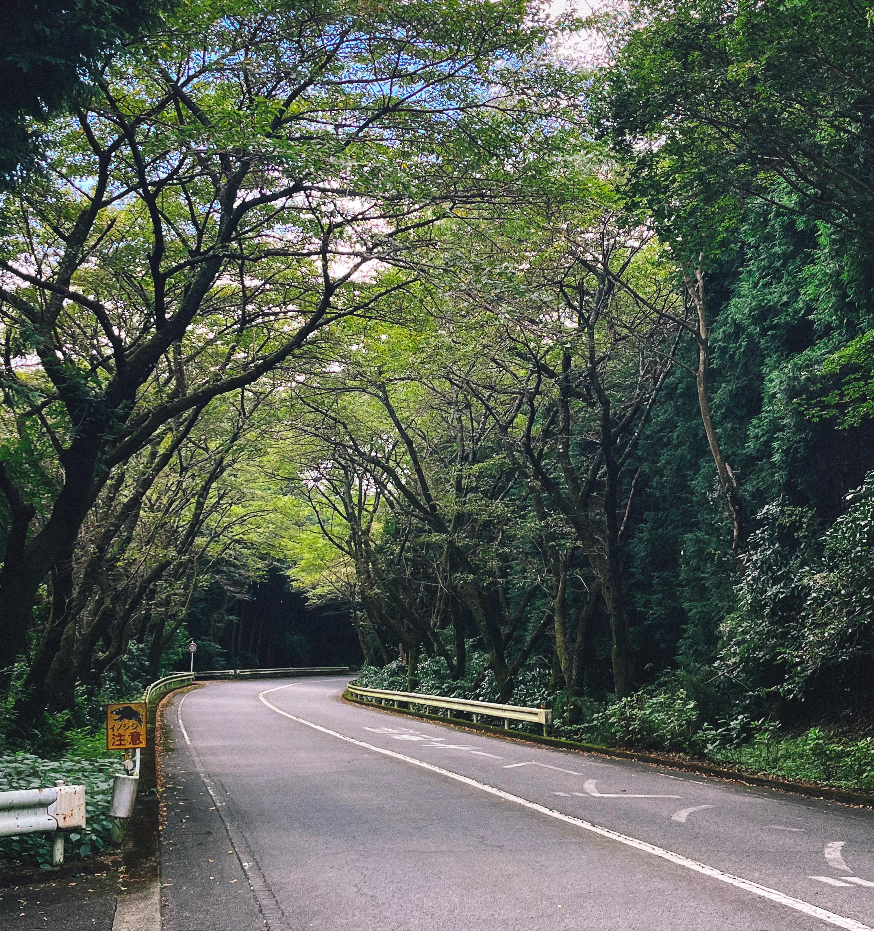From Tokyo: Private Tour to Fuji/Hakone - Onsen, Art, Nature — Japanese onsen experience photo 8
