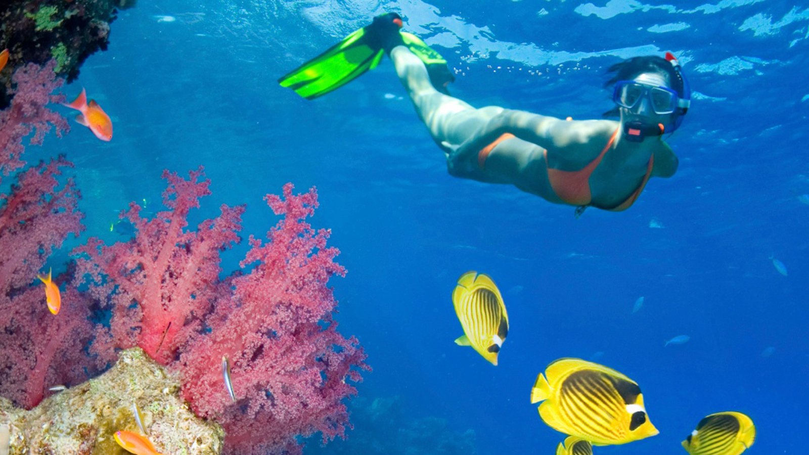 Catalina Island Snorkeling & Beach Escape