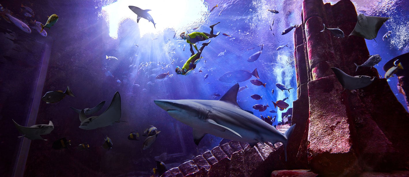 Dubai Lost World Aquarium: Snorkel the Ambassador Lagoon