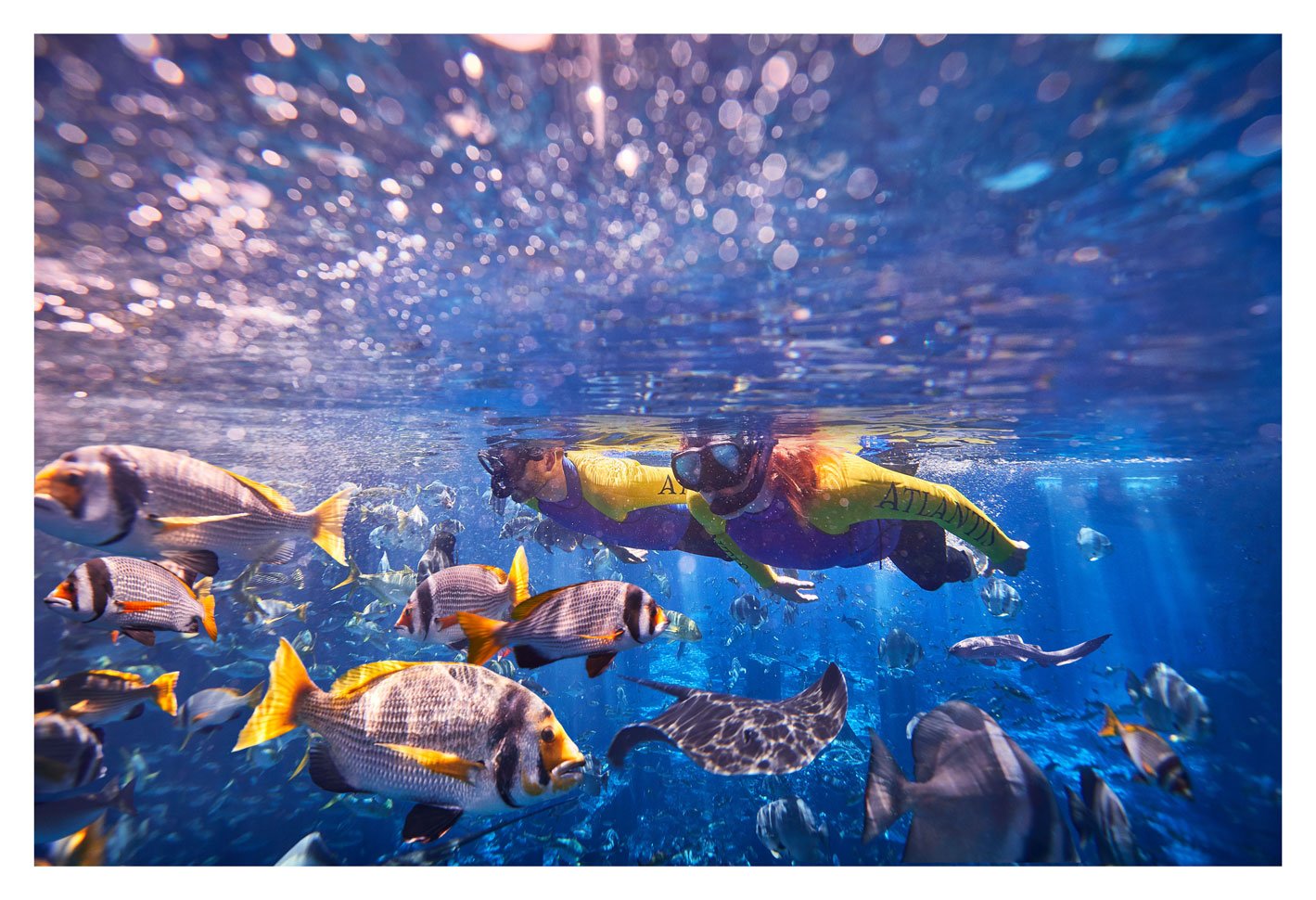 Dubai Lost World Aquarium: Snorkel the Ambassador Lagoon