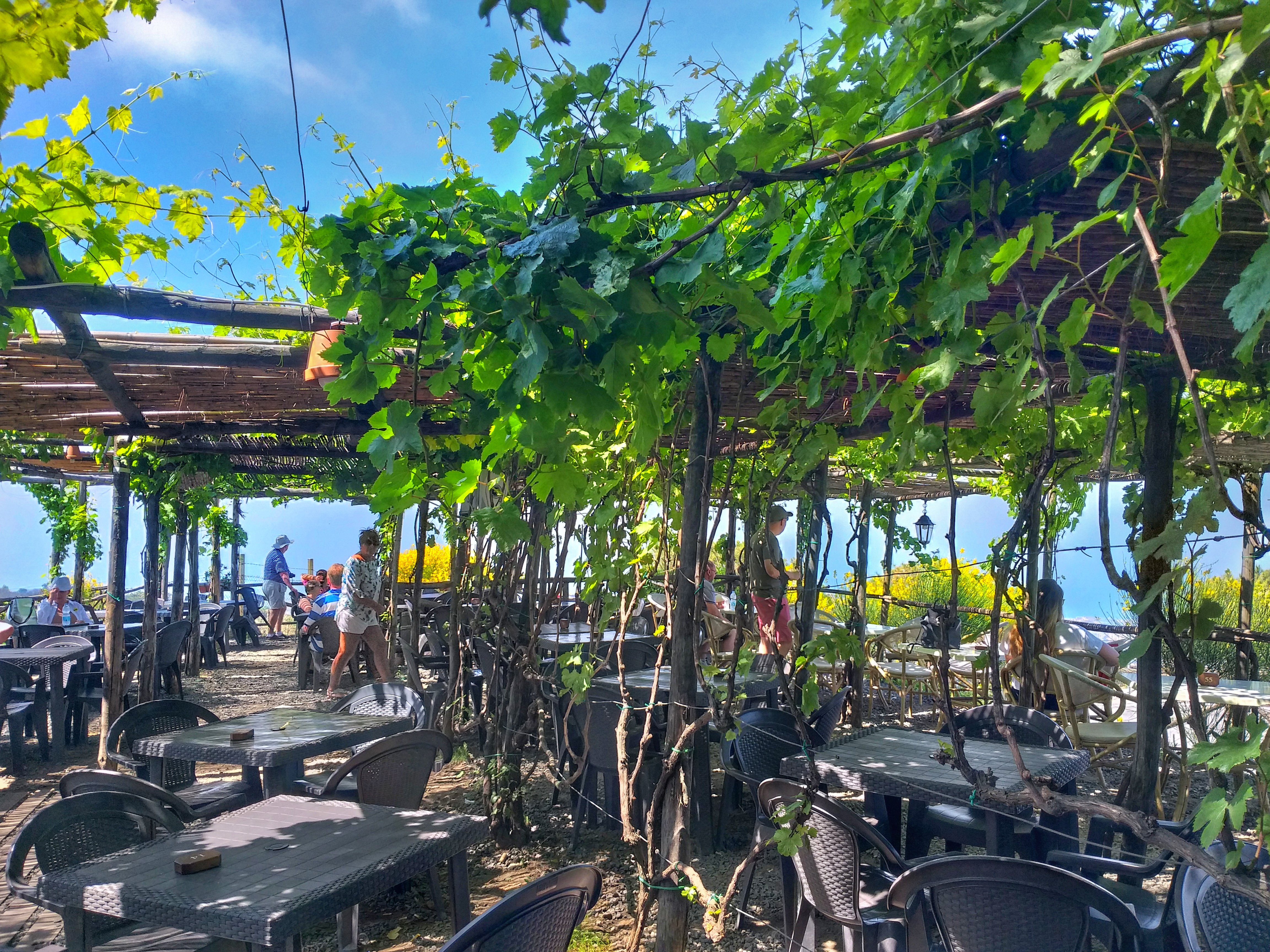 Vesuvius Crater Hike & Vineyard Lunch from Sorrento