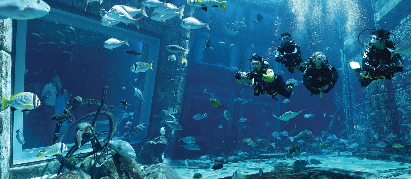 Lost World Aquarium Scuba Dive at Atlantis Dubai