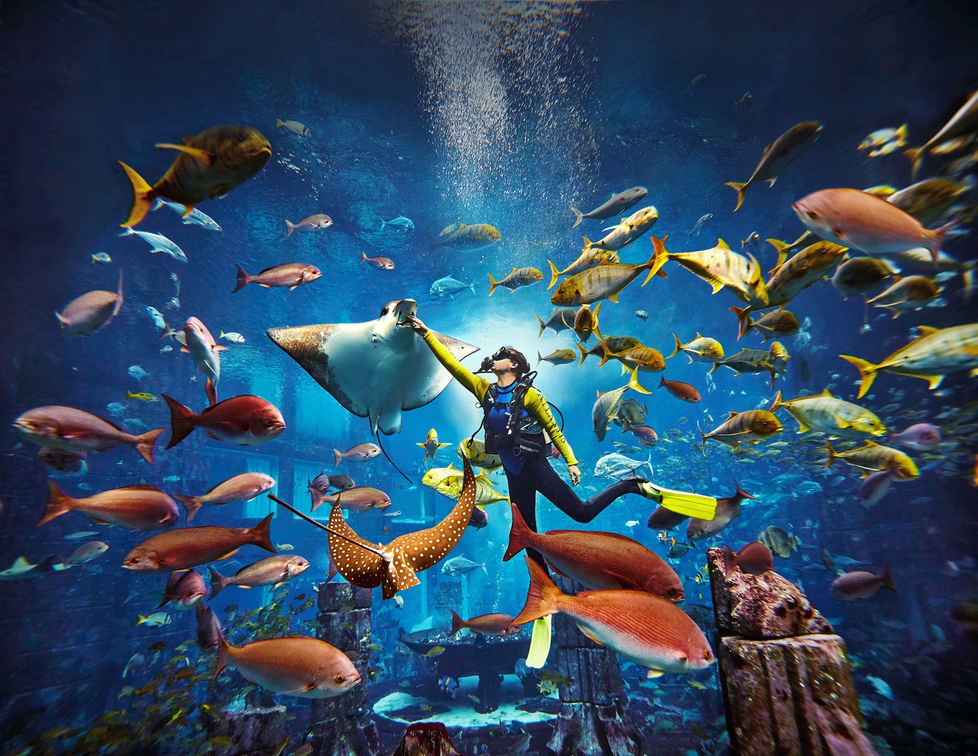 Lost World Aquarium Scuba Dive at Atlantis Dubai