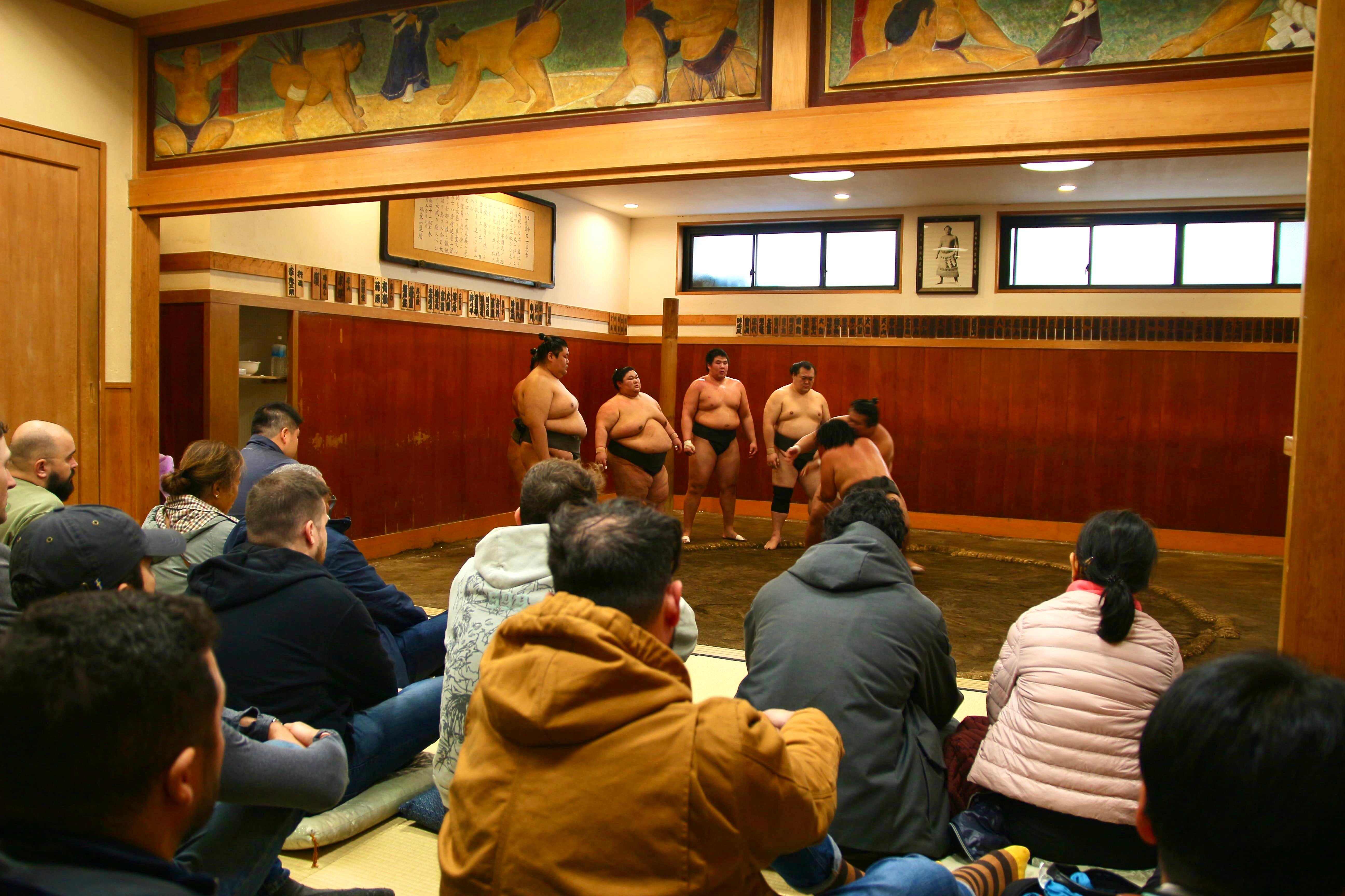 Tokyo Sumo Morning Practice: Viewing & Exclusive Interaction - 2026 (Verified Reviews)