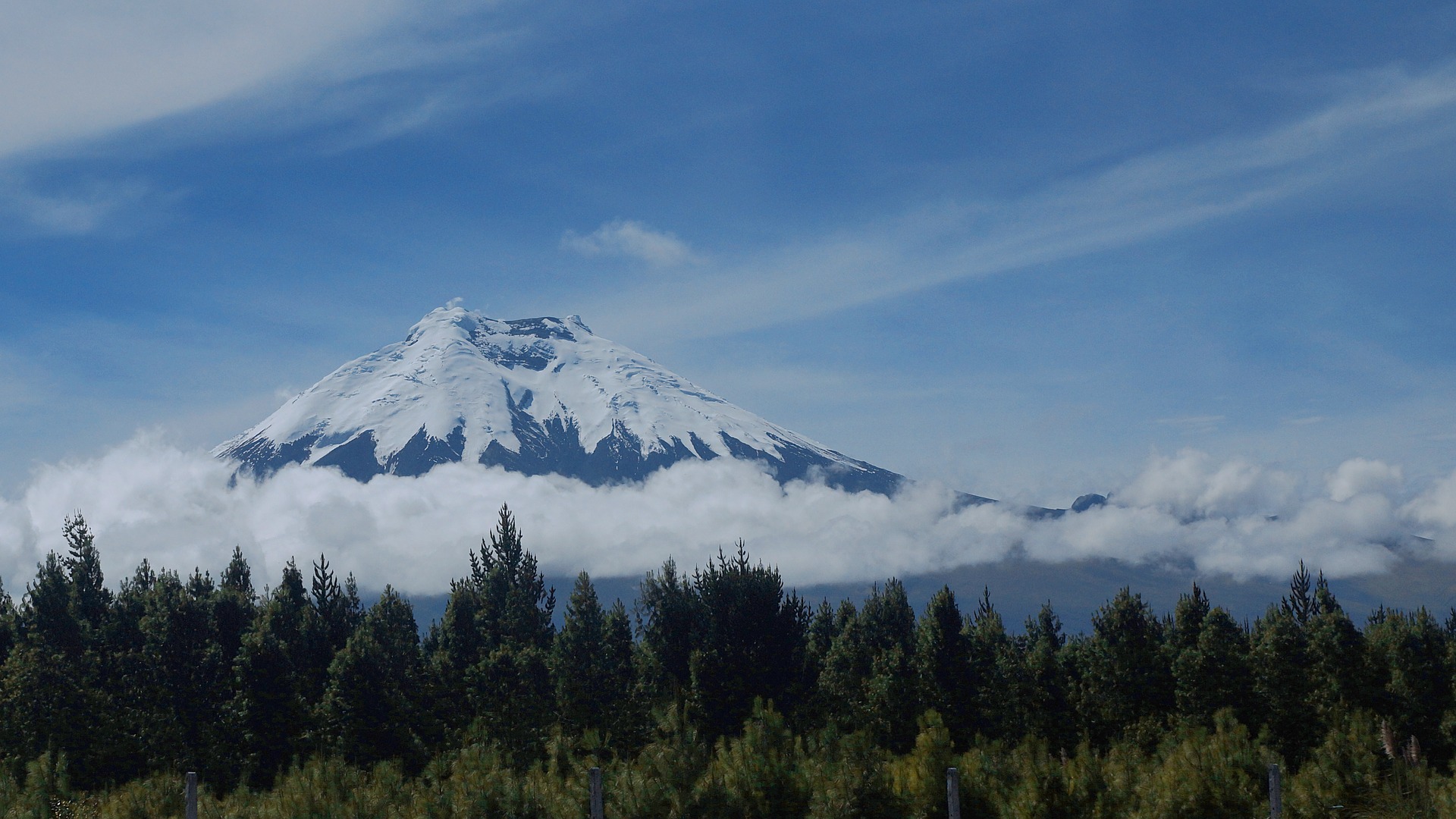 Cotopaxi National Park Full-Day Hiking Tour from Quito