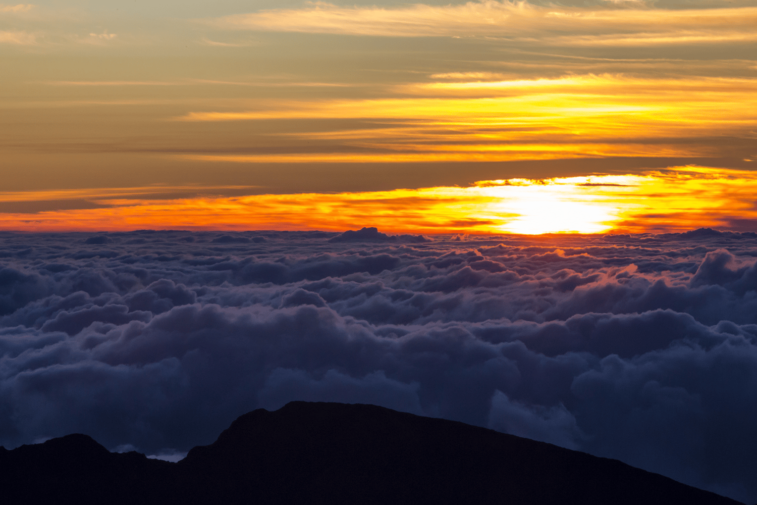 Haleakala Sunset & Dinner Tour from Maui