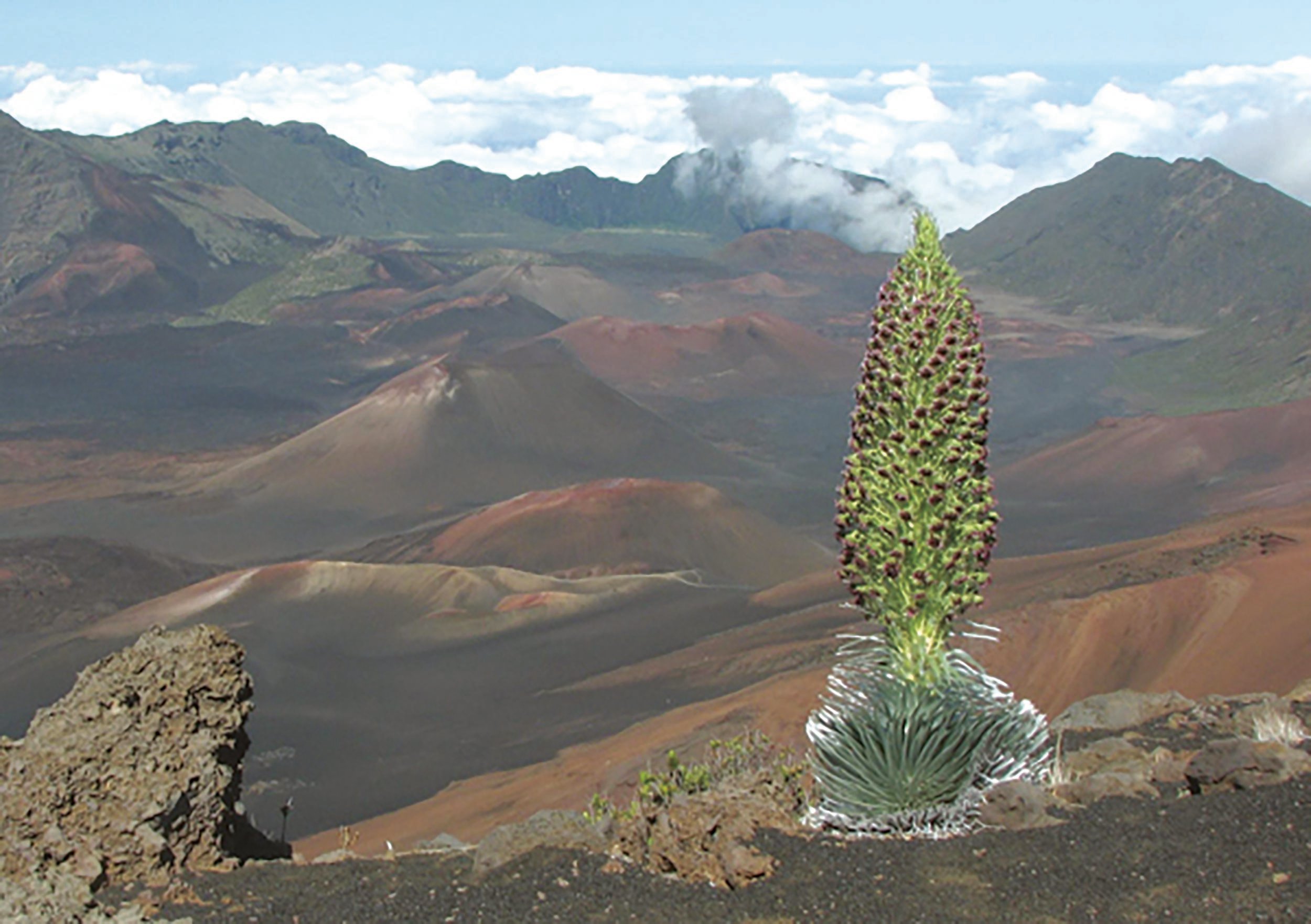 Maui: Sunset & Dinner Tour to Haleakala National Park
