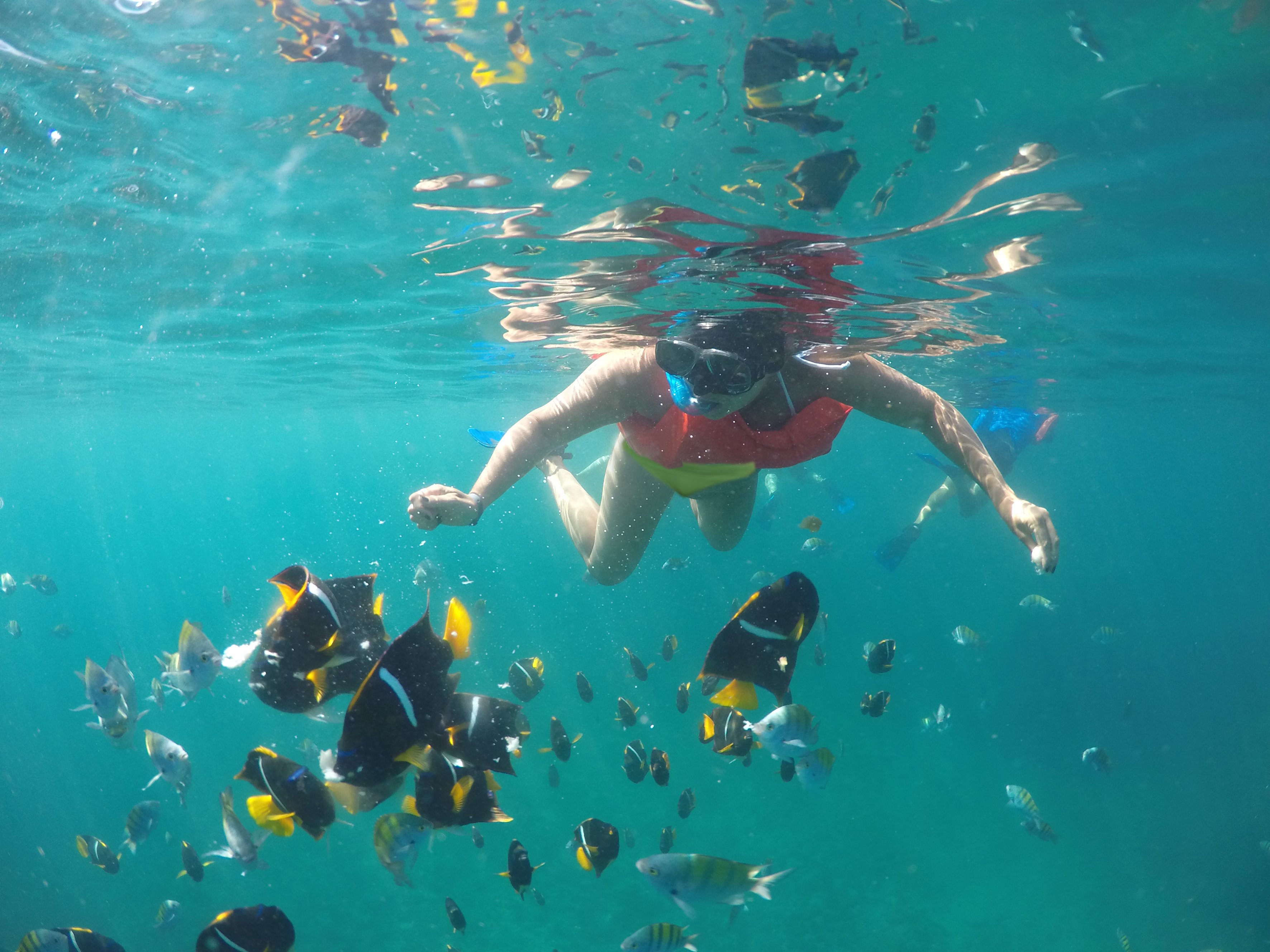 Cabo Catamaran Snorkel & Sightseeing with Open Bar