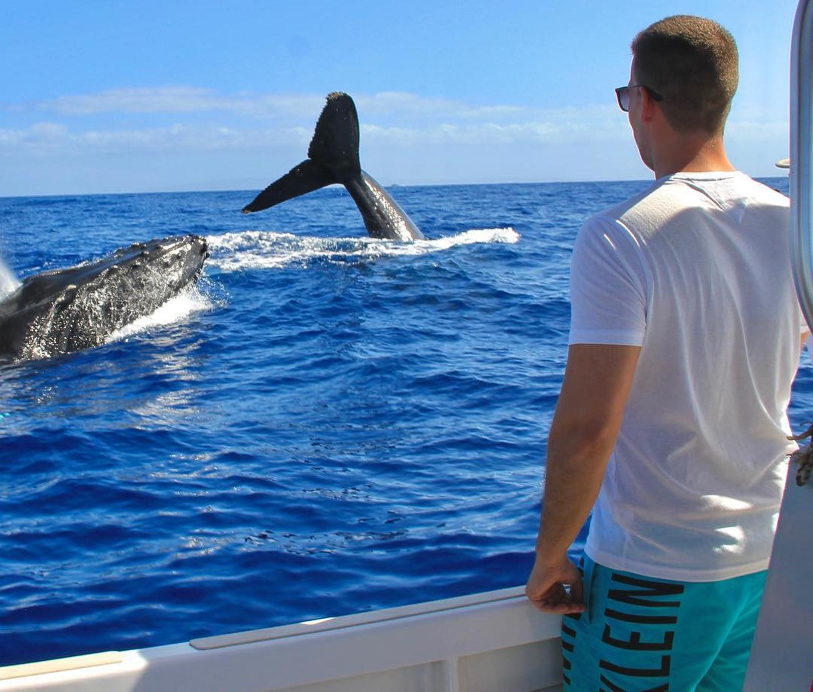 Cabo Catamaran Snorkel & Sightseeing with Open Bar