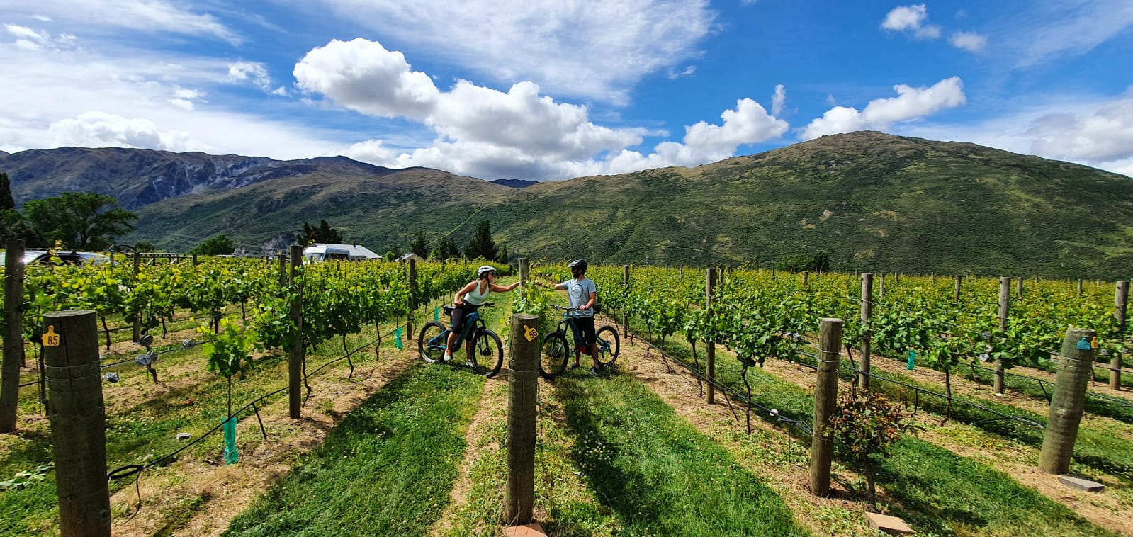 Queenstown E-Bike Wine Tour: Arrowtown, Gibbston Valley & Winery Tastings