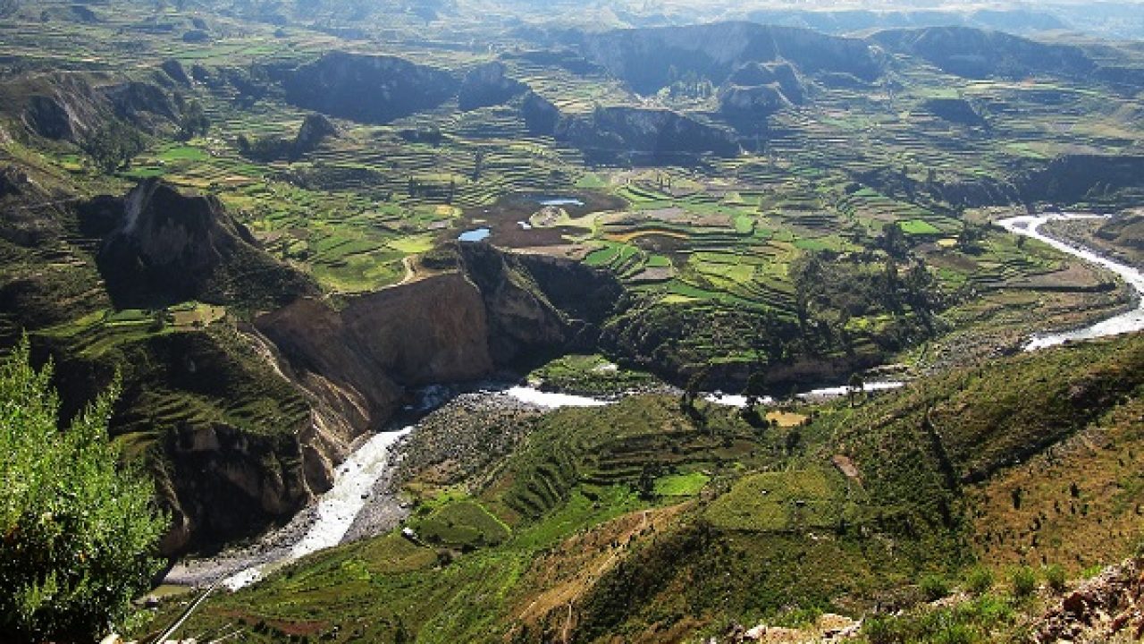 Puno to Arequipa via Colca Canyon: 2-Day Highland Adventure