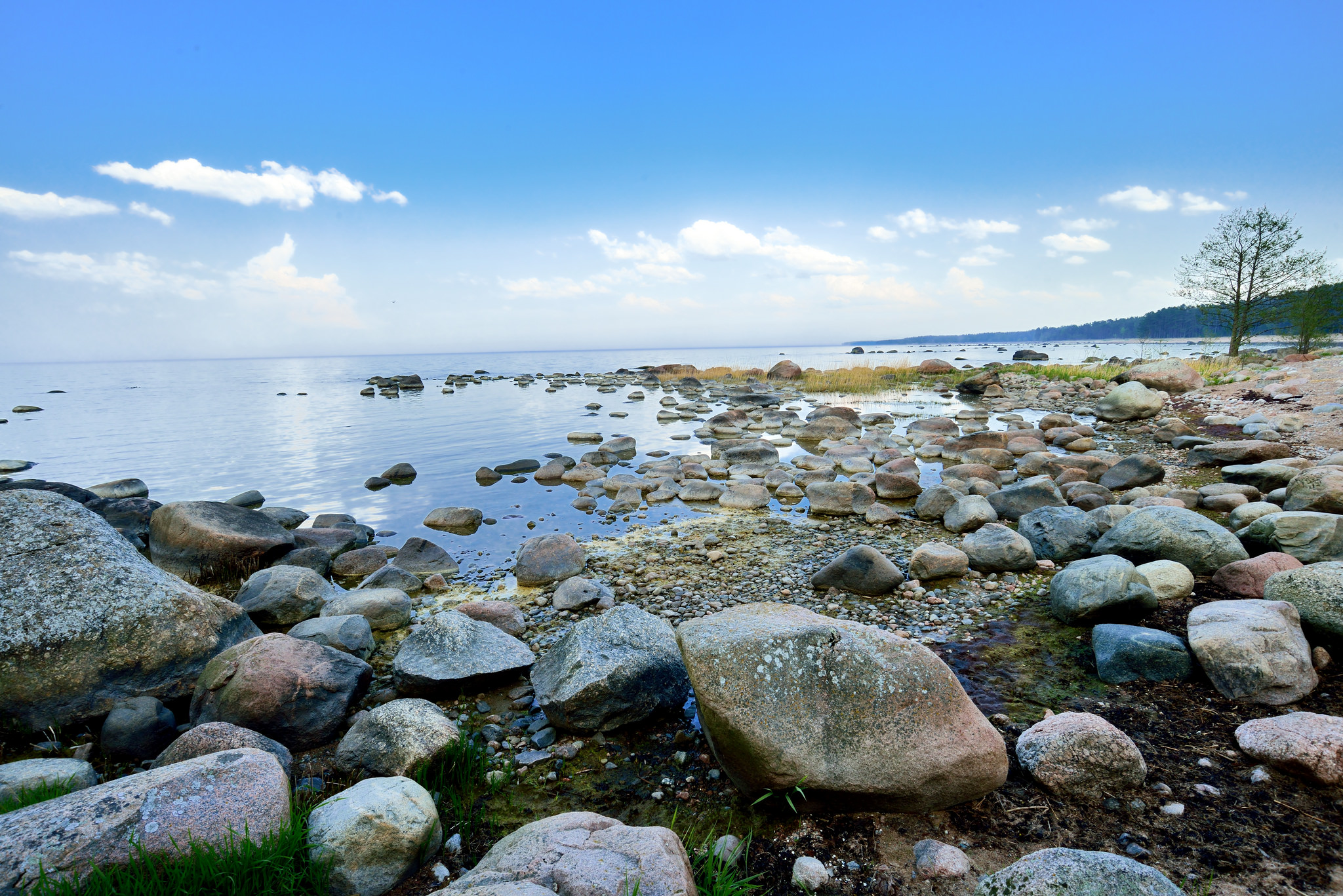 Lahemaa National Park full-day tour from Tallinn — image 9