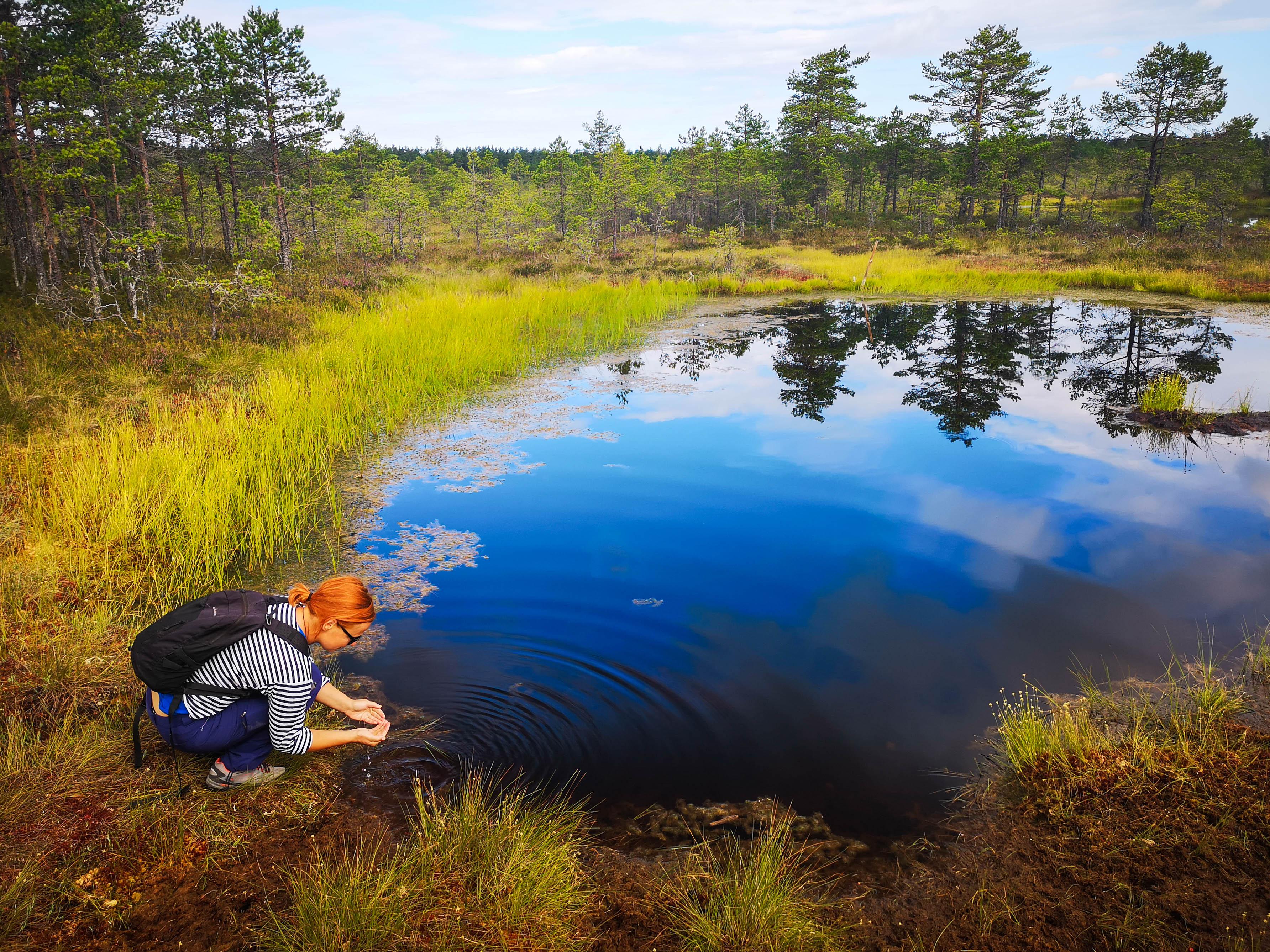 Lahemaa National Park Full-Day Adventure from Tallinn