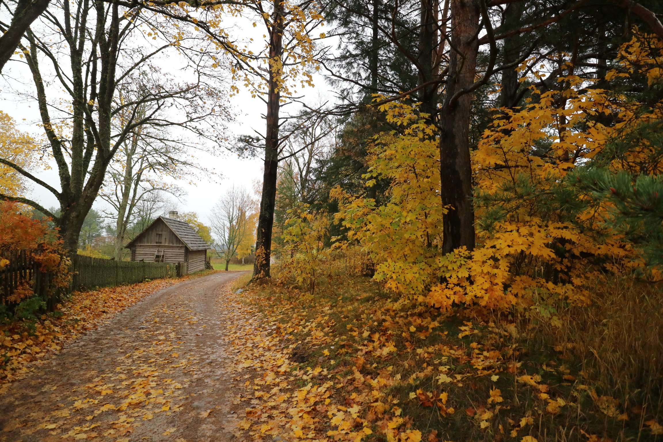 Lahemaa National Park full-day tour from Tallinn — image 7