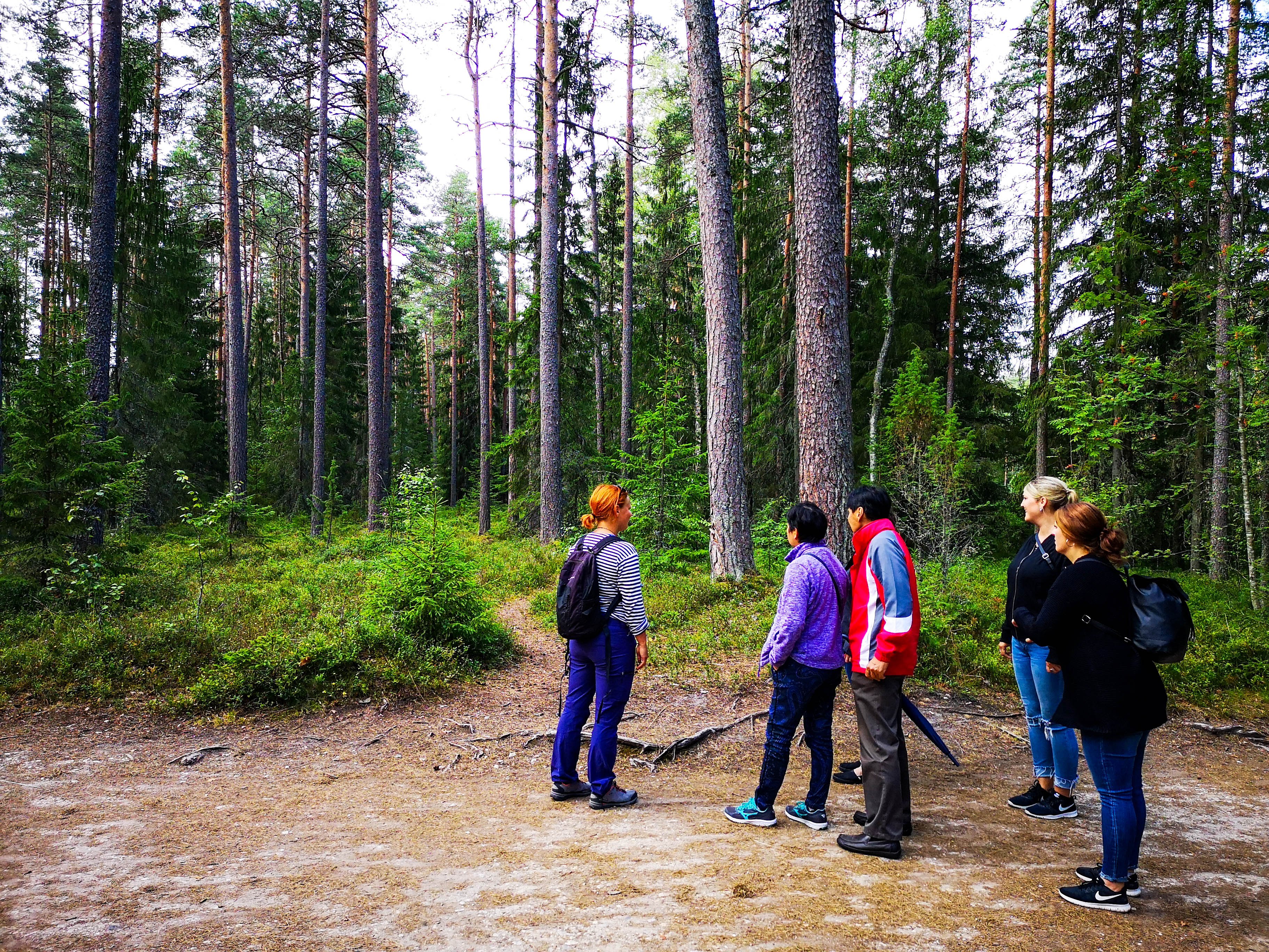 Lahemaa National Park full-day tour from Tallinn — image 11