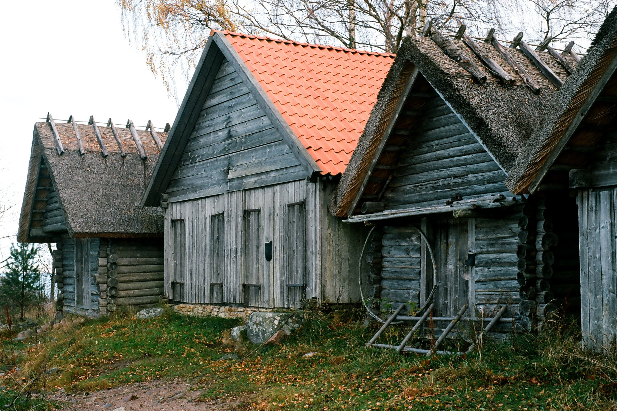 Lahemaa National Park full-day tour from Tallinn — image 14
