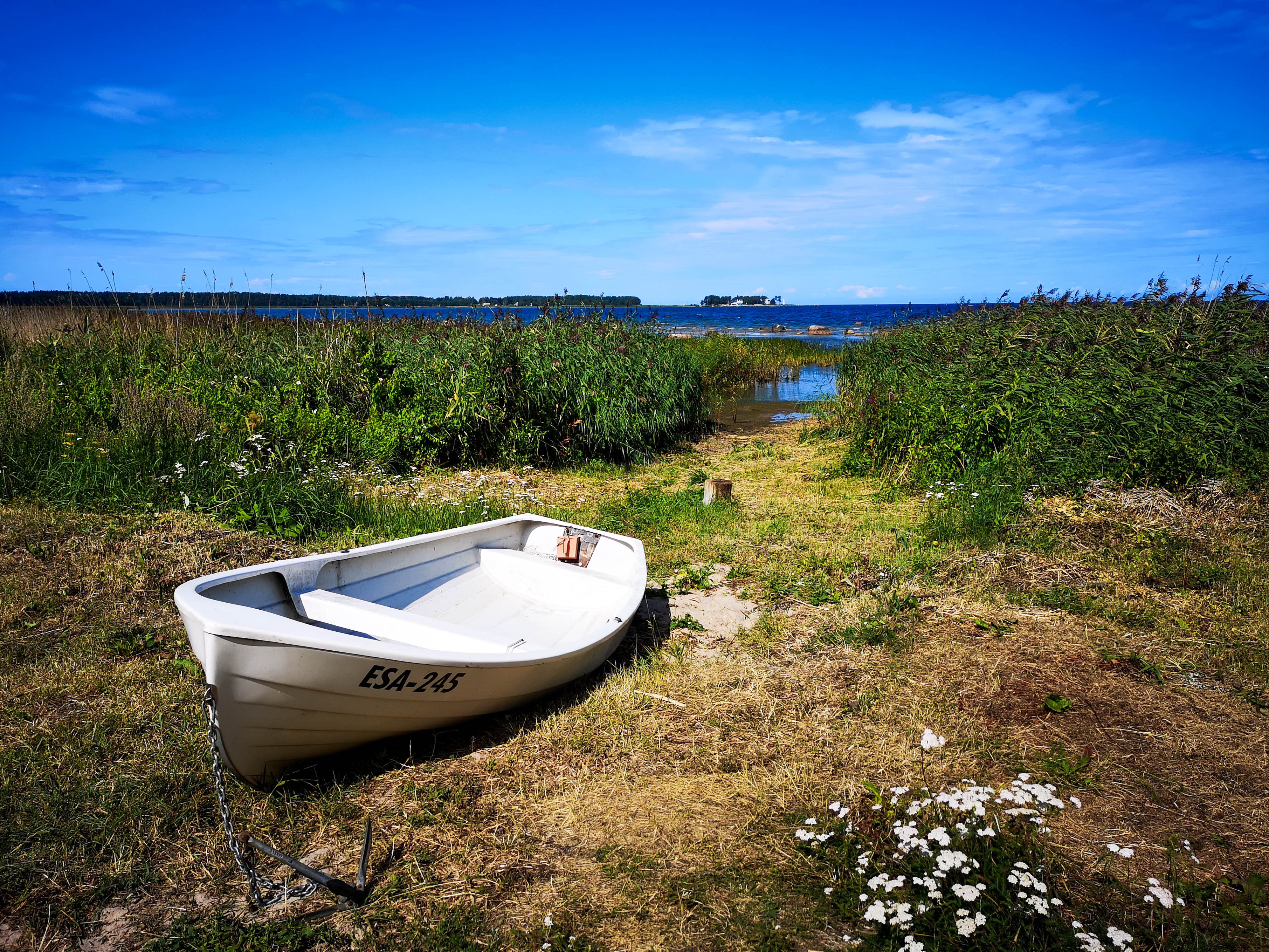 Lahemaa National Park full-day tour from Tallinn — image 24