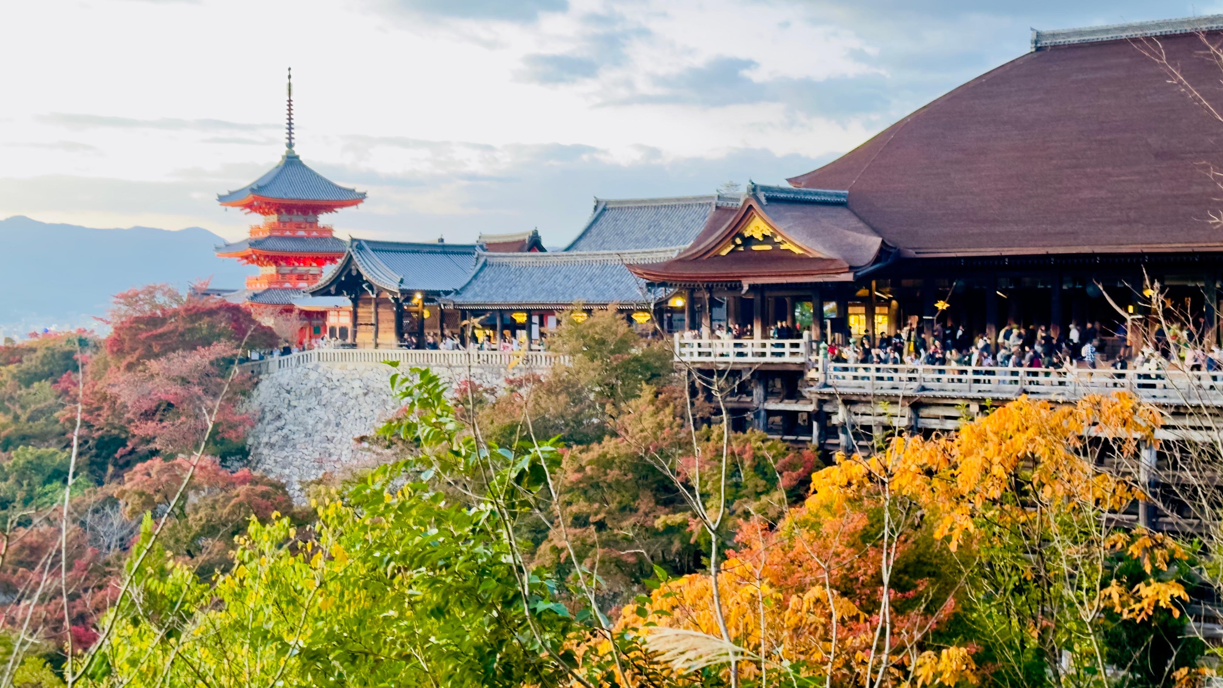 Privat høydepunkts-tur i Kyoto med sjåfør og engelskspråklig guide