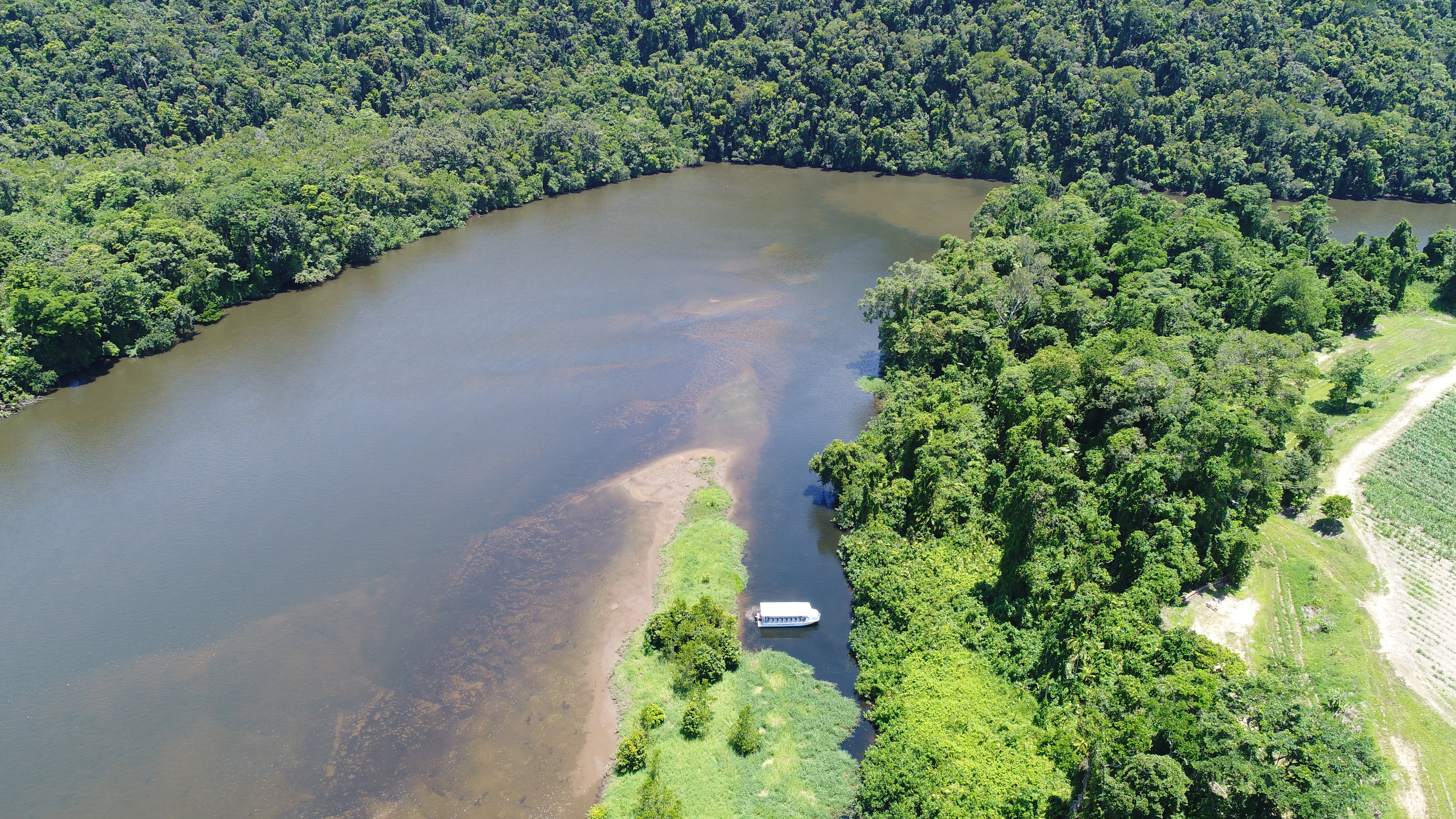Daintree River Wildlife Cruise