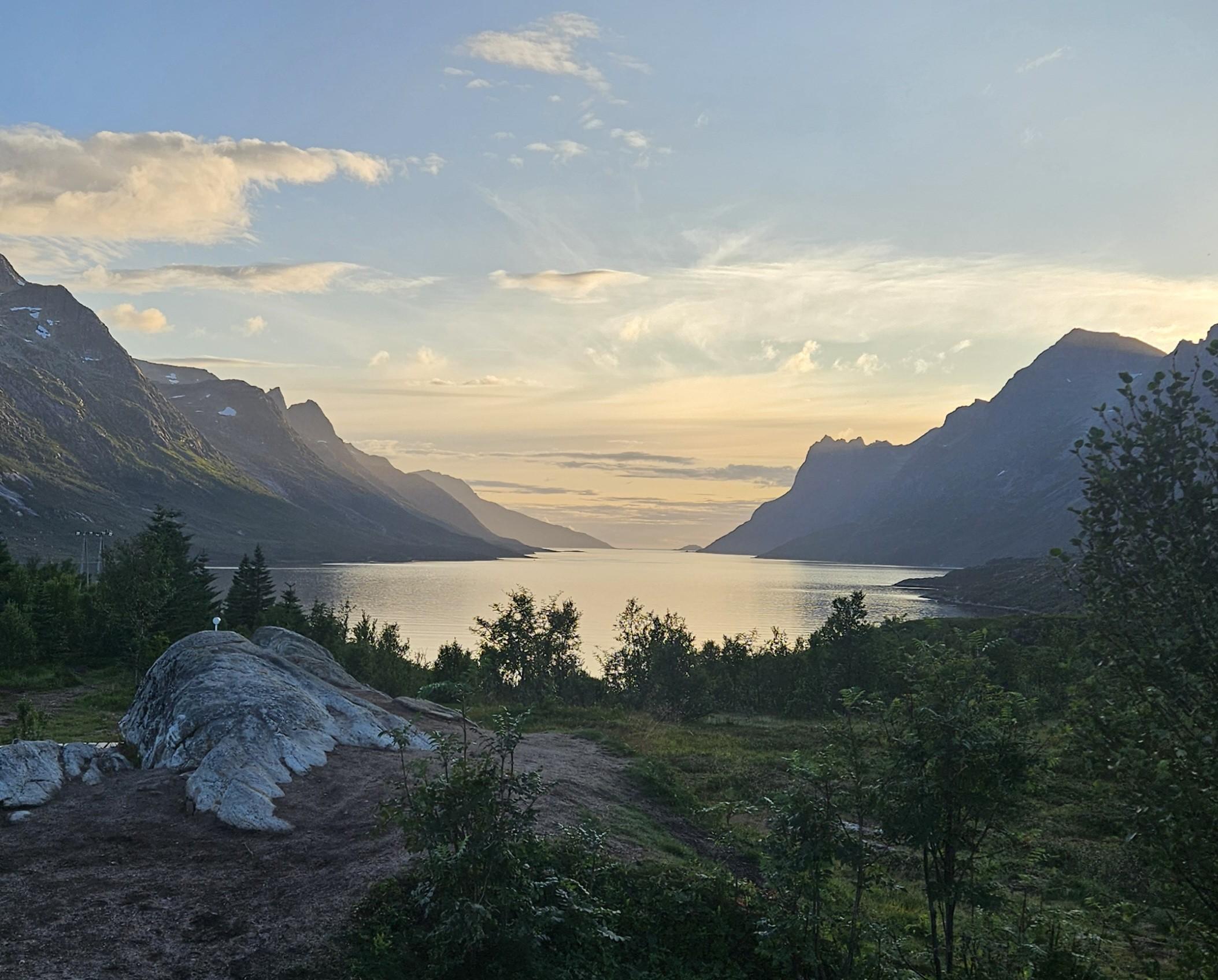 Tromsø: Sommerøya and Kvaløya Arctic Fjords Tour with Lunch - 2026 (Verified Reviews)