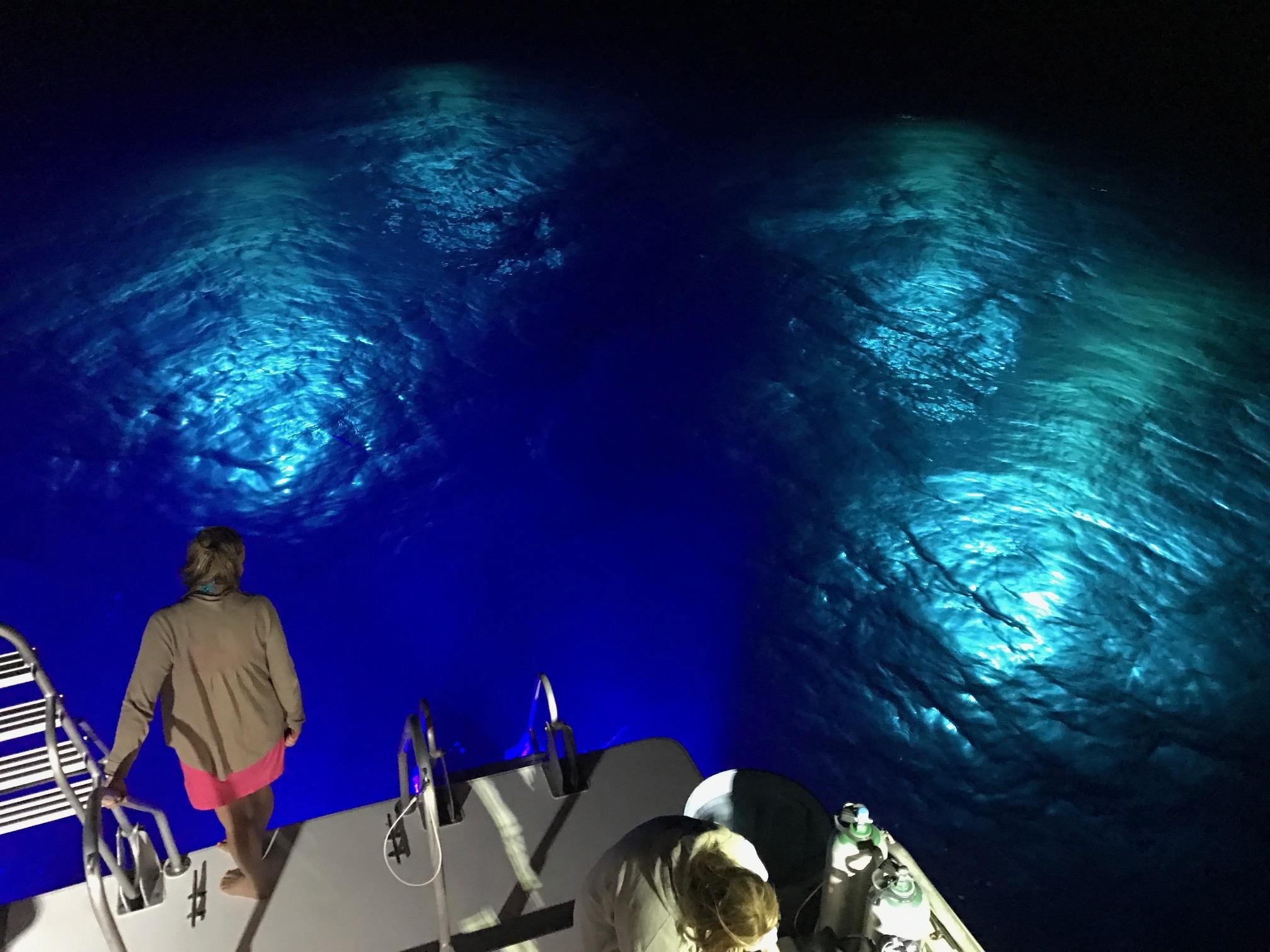 Oahu Night Dive for Certified Divers