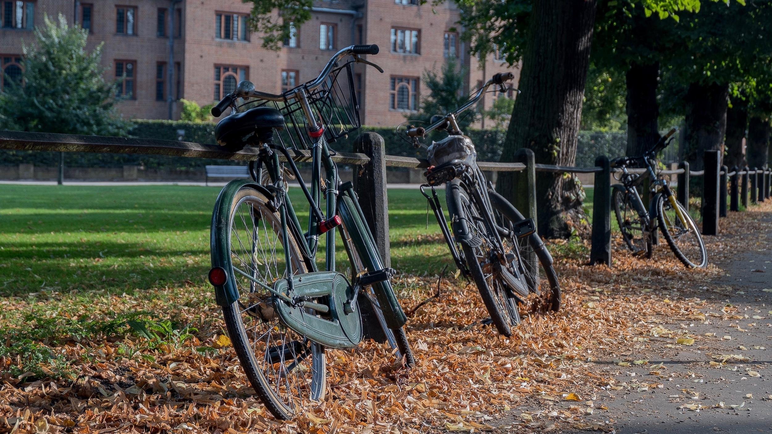 Cambridge walk and punt tour — image 14
