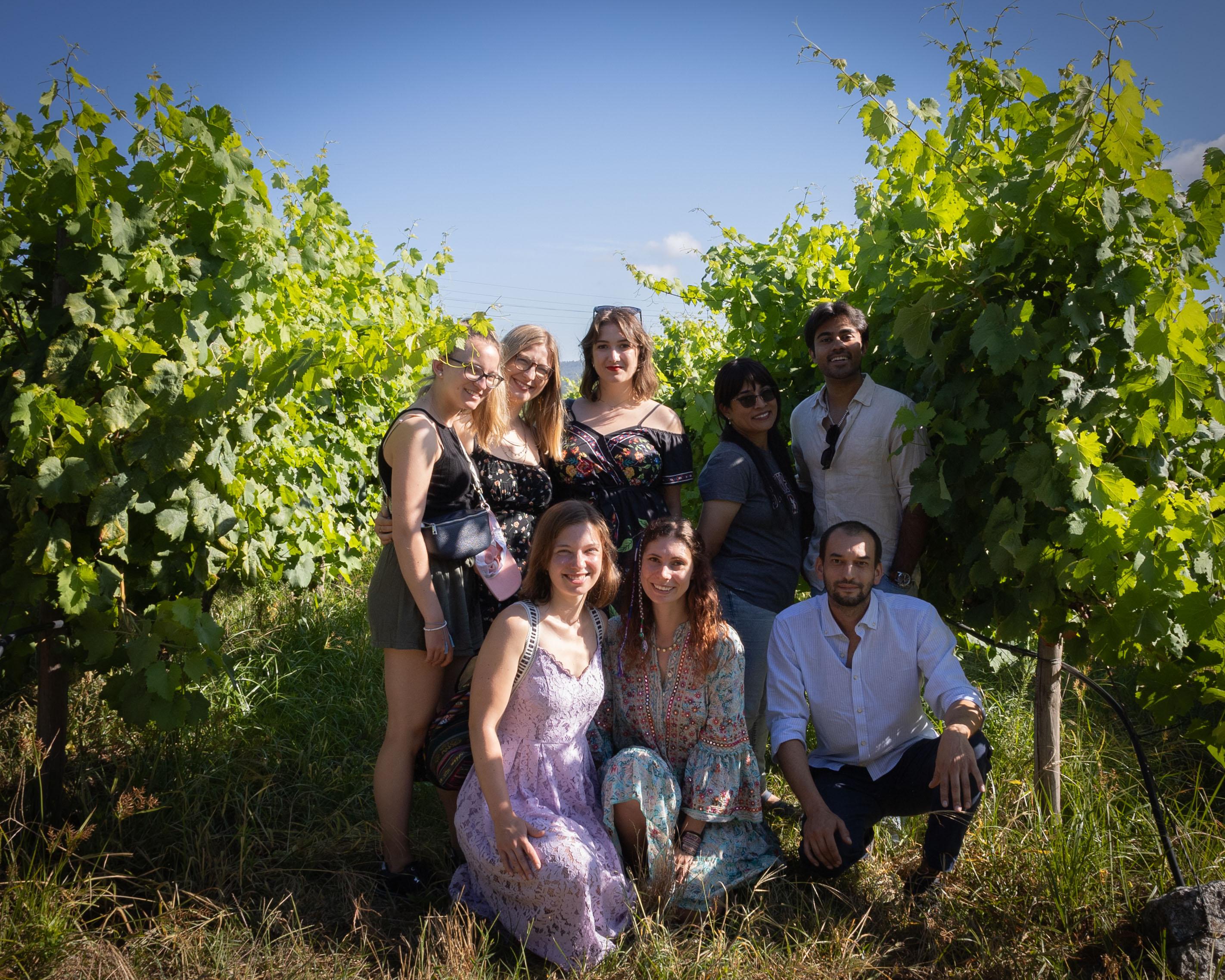 Douro Valley Wine & Boat Tour from Porto with Sommelier Guide