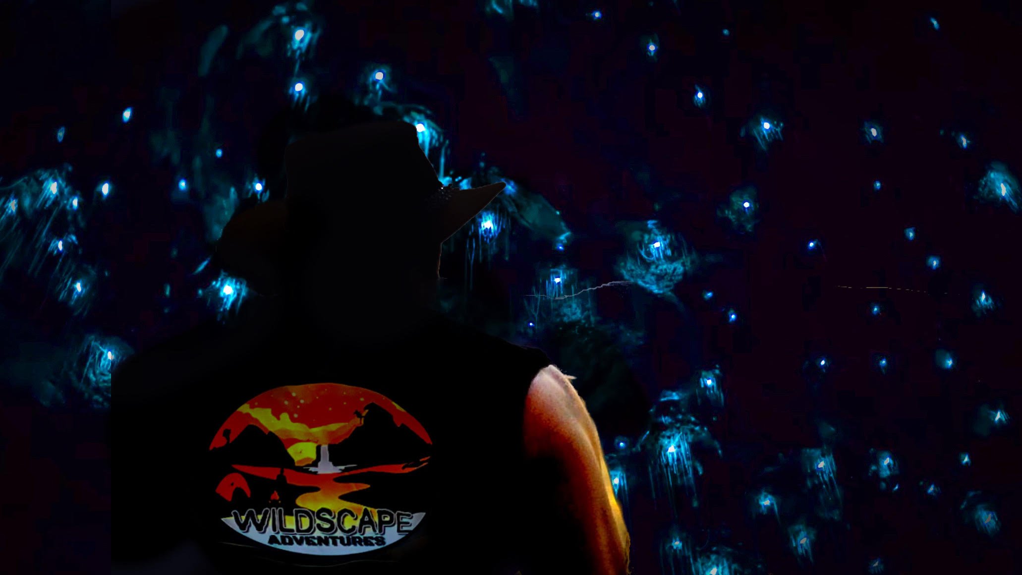 Blue Mountains Night Adventure with Glow Worm Cave