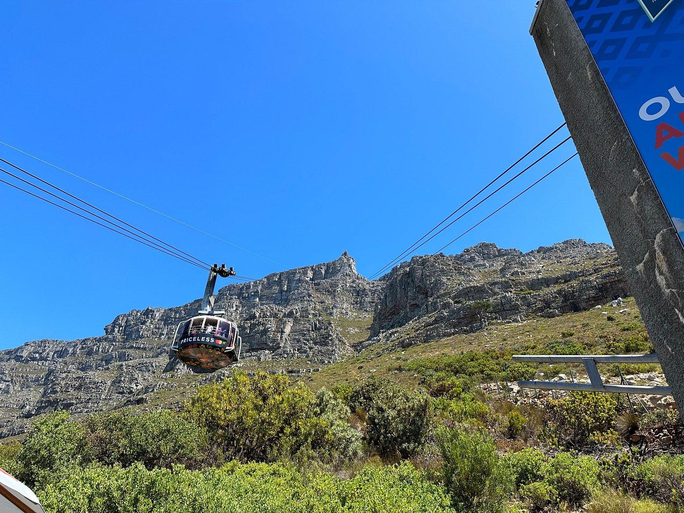 Cape Peninsula Highlights: Table Mountain, Penguins & Cape Point