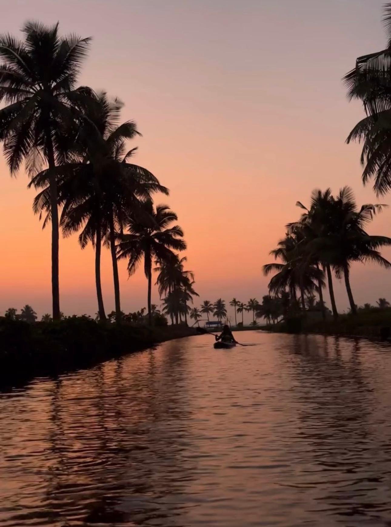 Kochi Backwater Kayaking: Sunrise or Sunset Tour