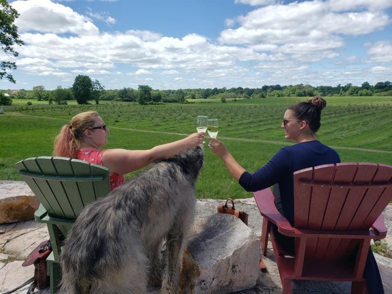 Thousand Islands: Helicopter Tour with Cider Mill and Lunch - 2026 (Verified Reviews)