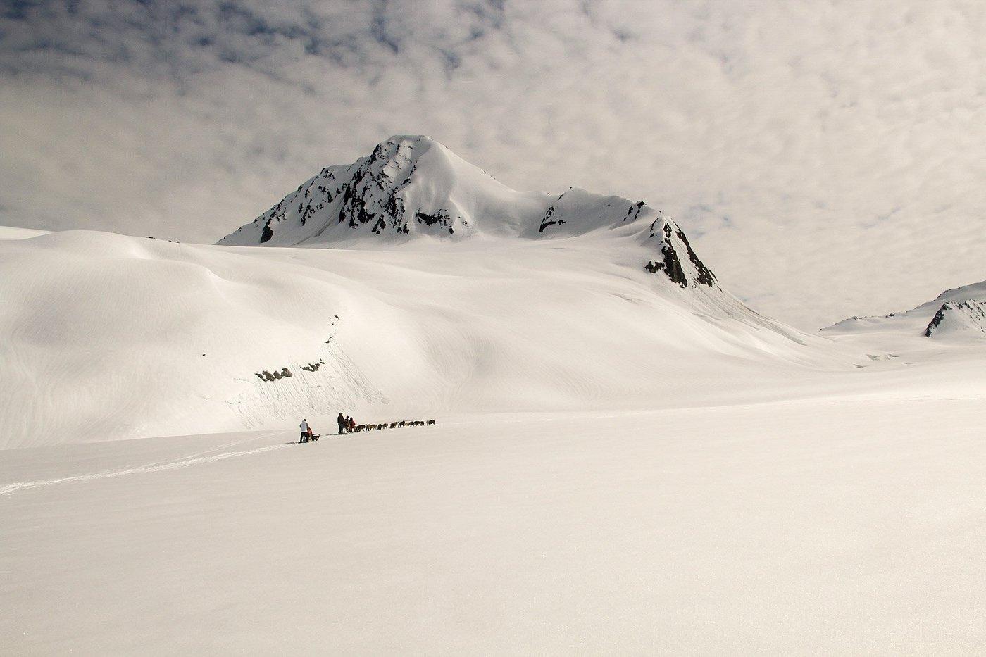 dog sledding in Anchorage — photo 5