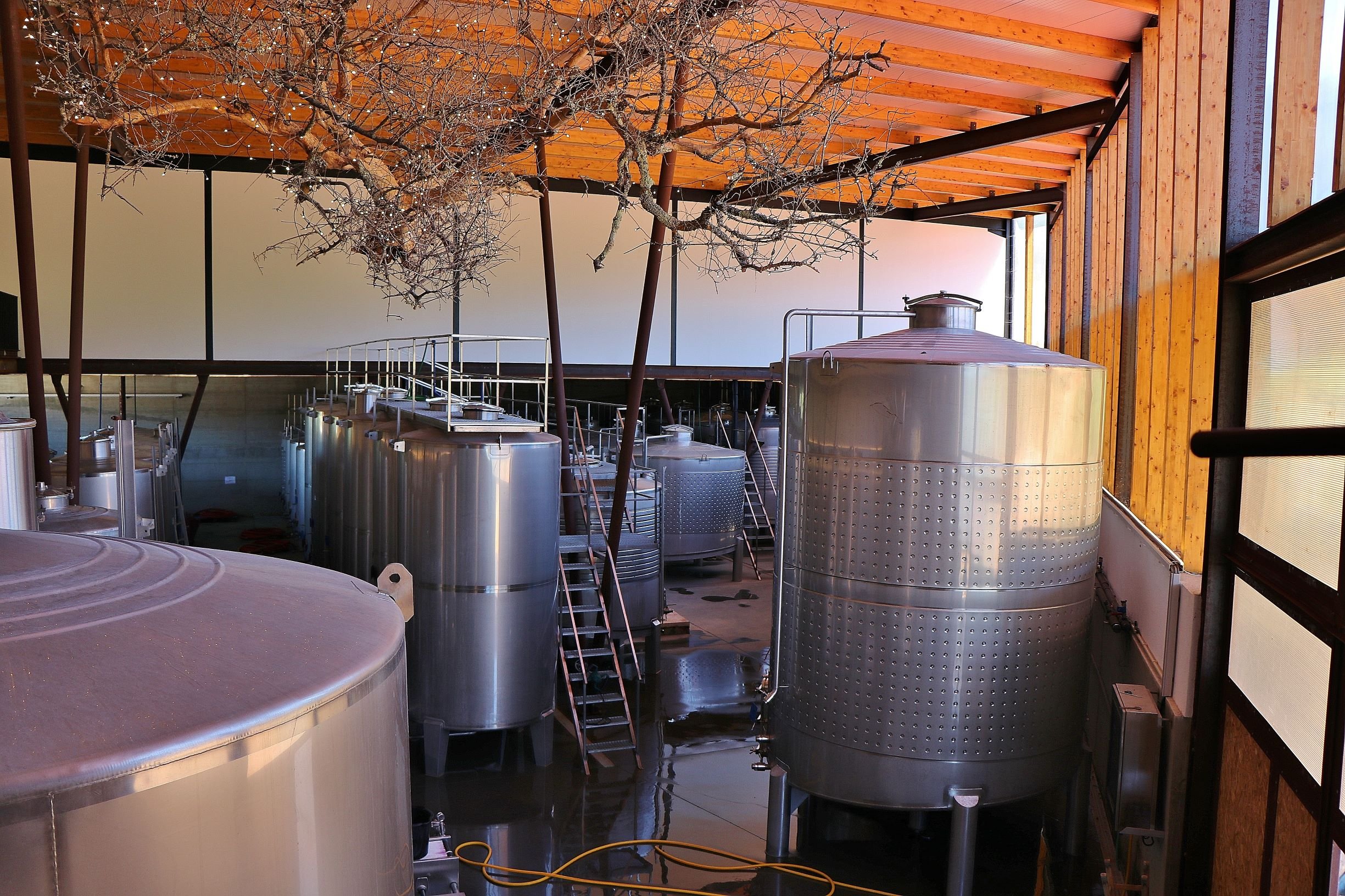 Lisbon: Private Setúbal Wine Country Tour with Tastings