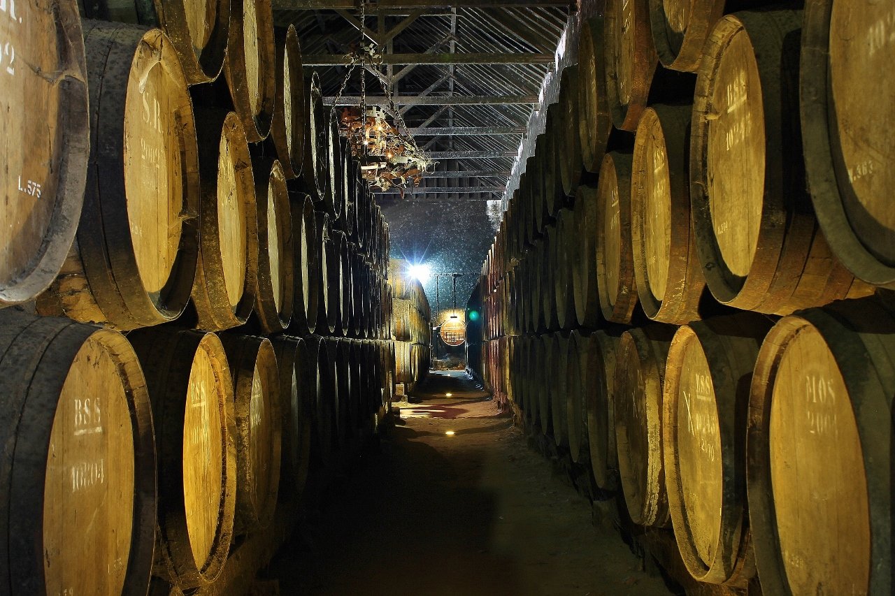Lisbon: Private Setúbal Wine Country Tour with Tastings