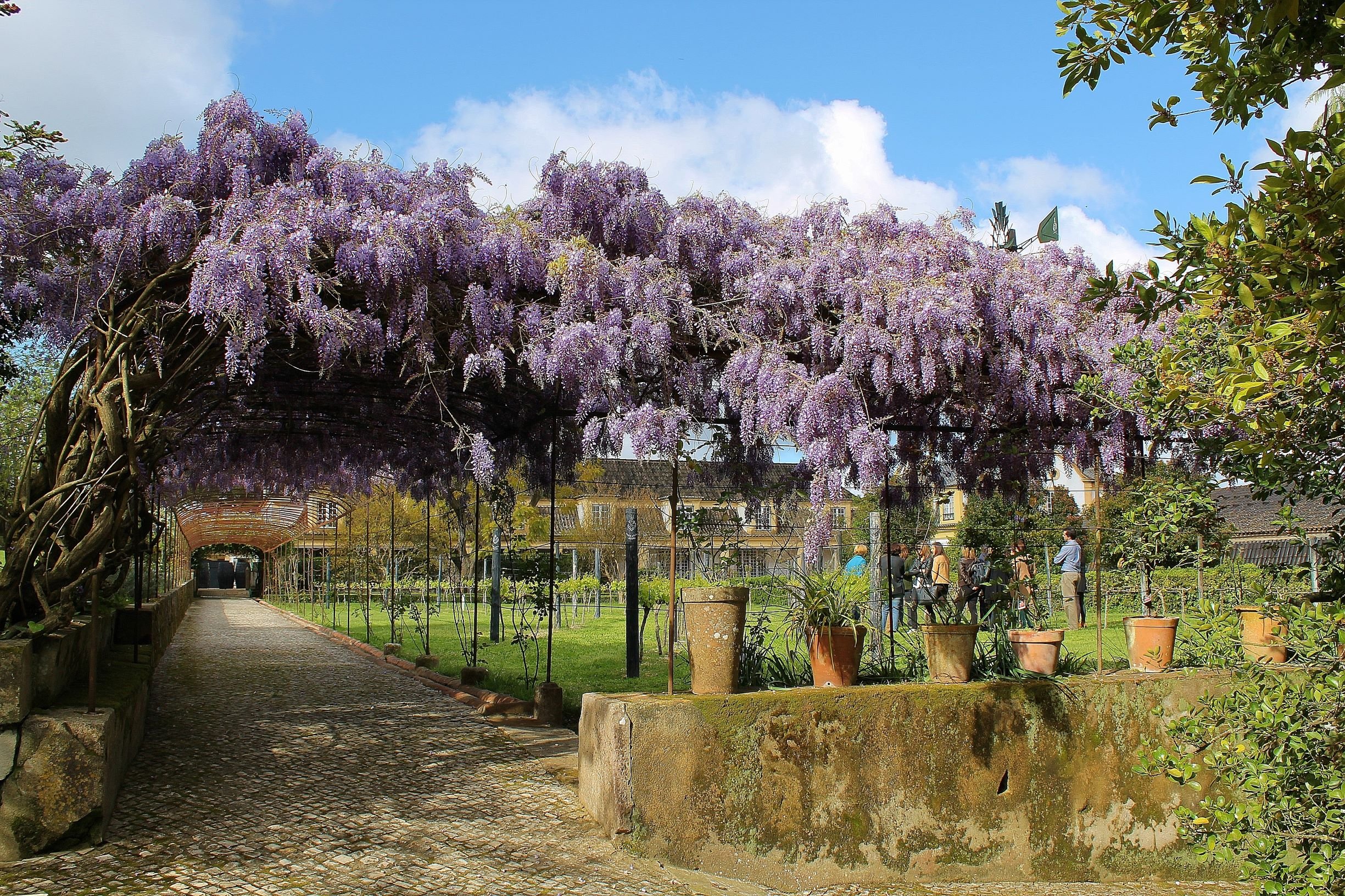 Lisbon: Private Setúbal Wine Country Tour with Tastings