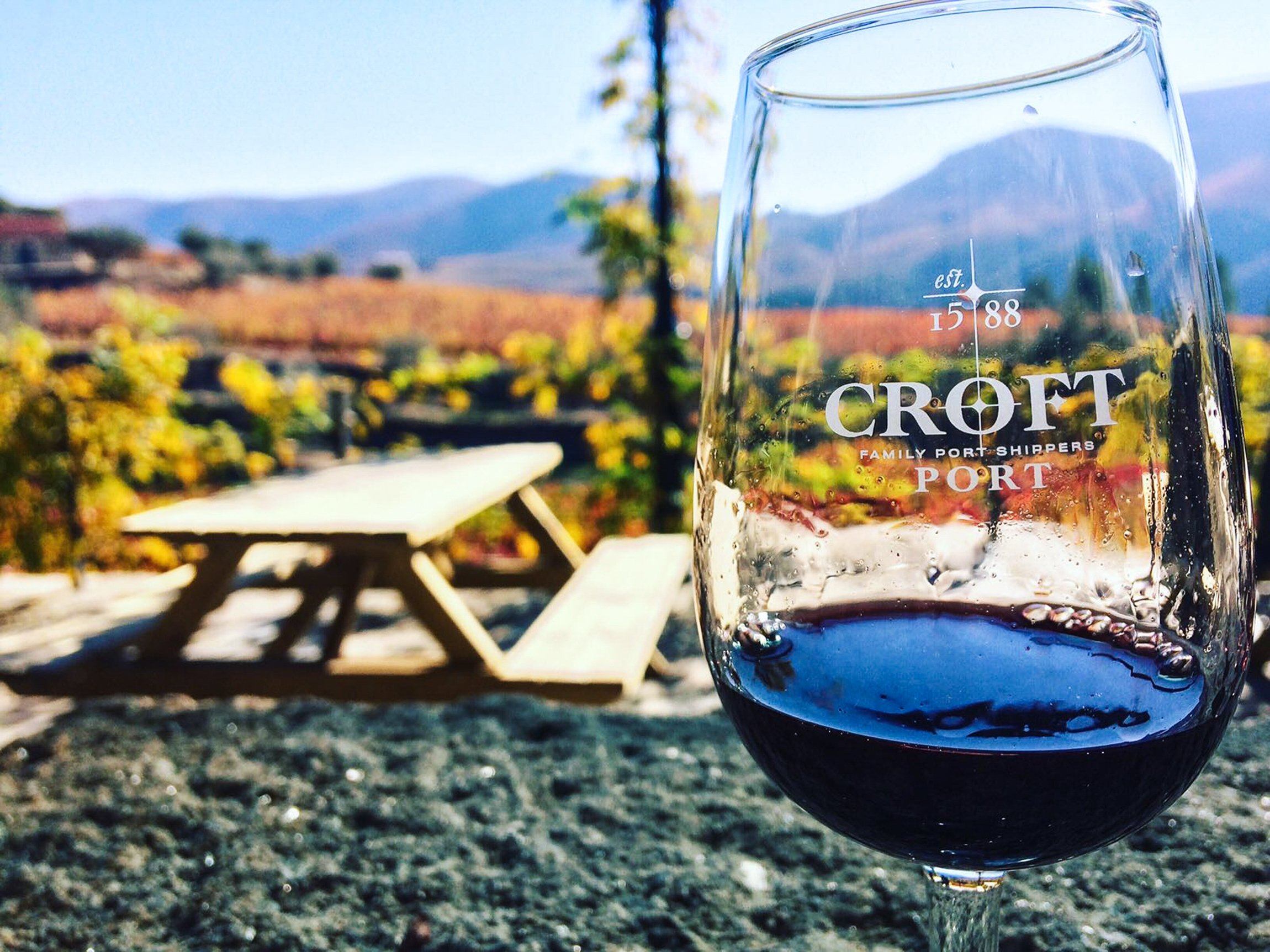 Douro Valley Day Trip: Boat Cruise, Wine Tasting & Traditional Lunch from Porto