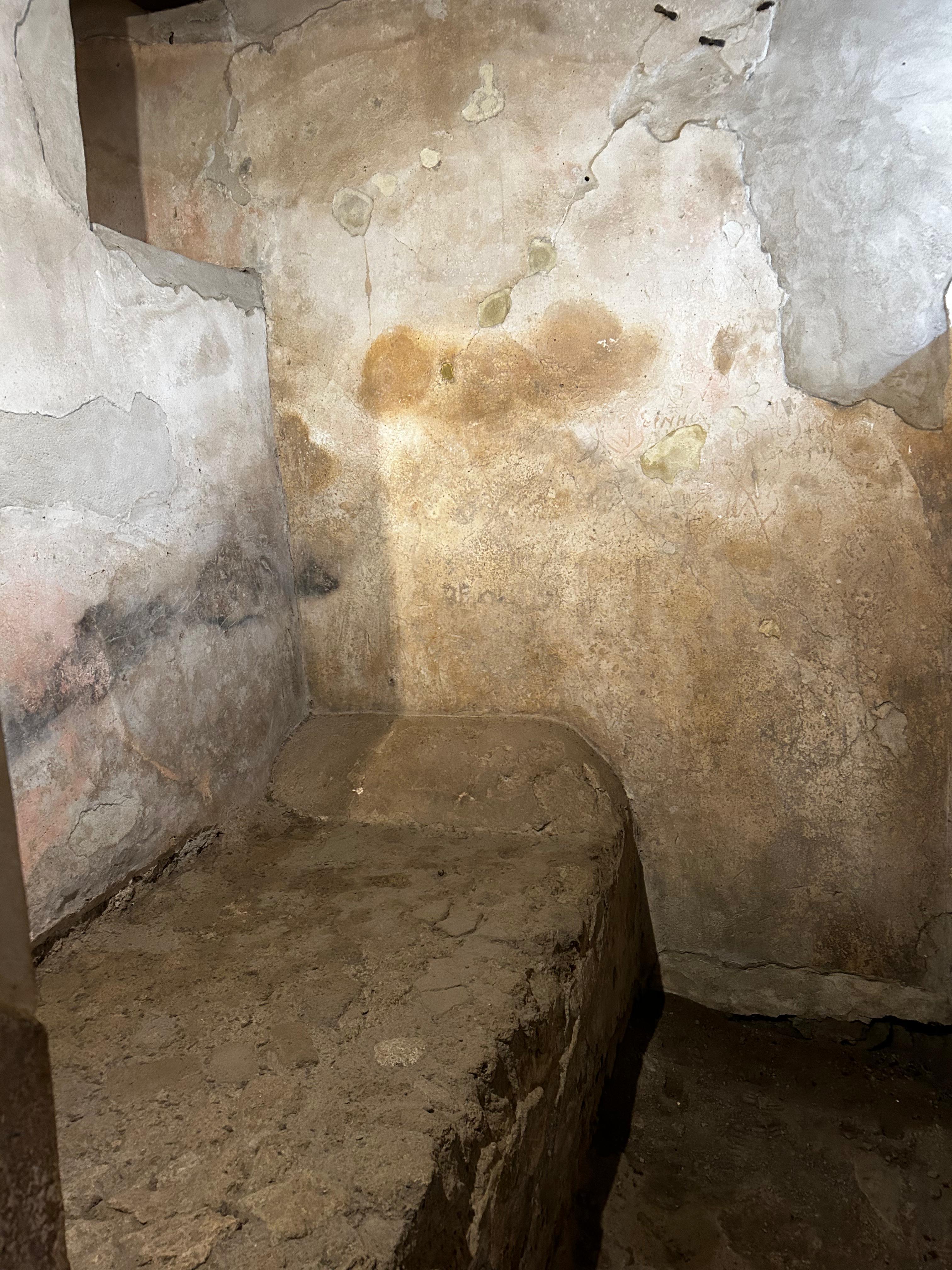 Pompeii Private Walking Tour with Skip-the-Line Access