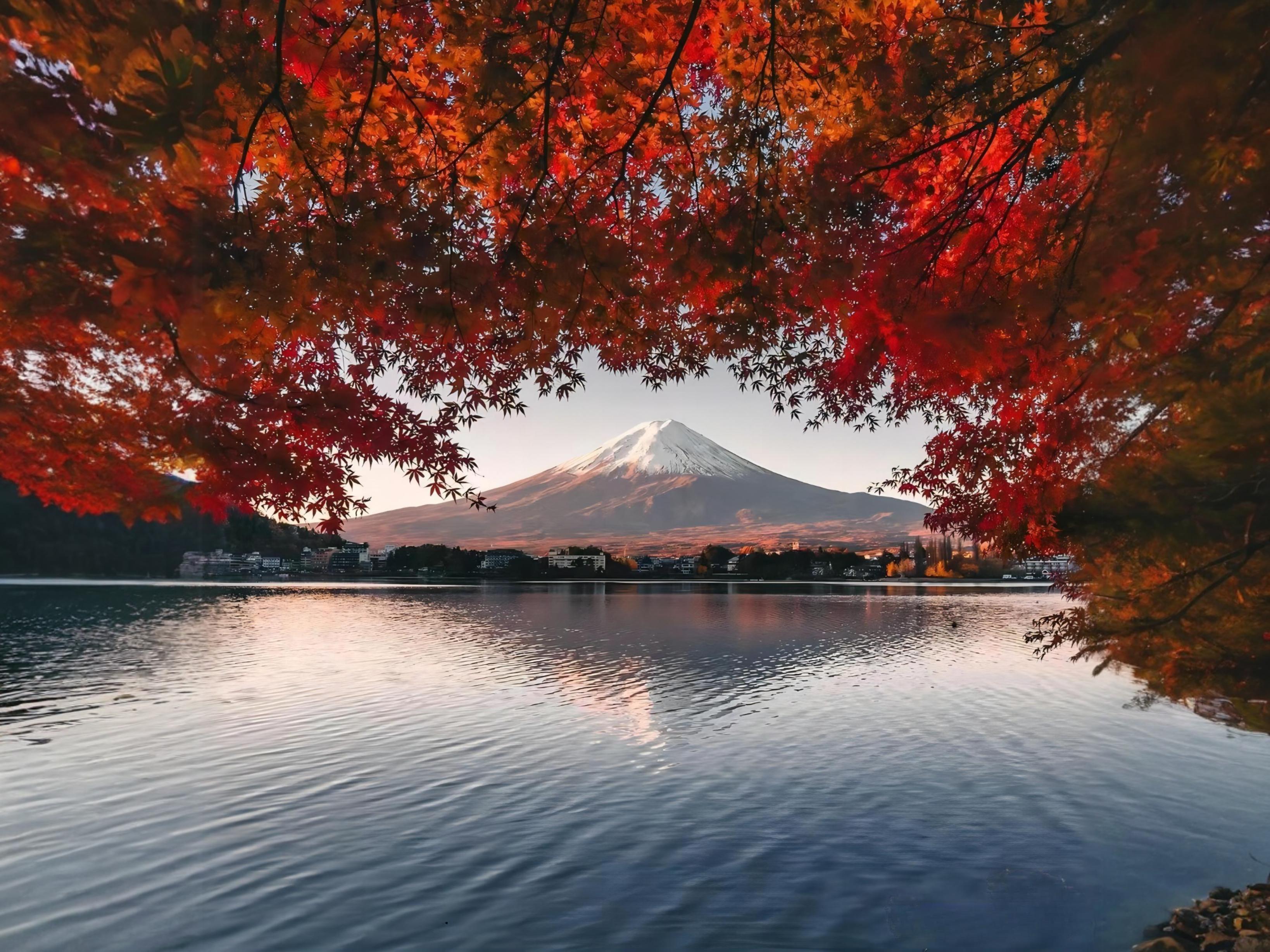 Mt Fuji, Chureito Pagoda & Lake Kawaguchi Full-Day Tour from Tokyo