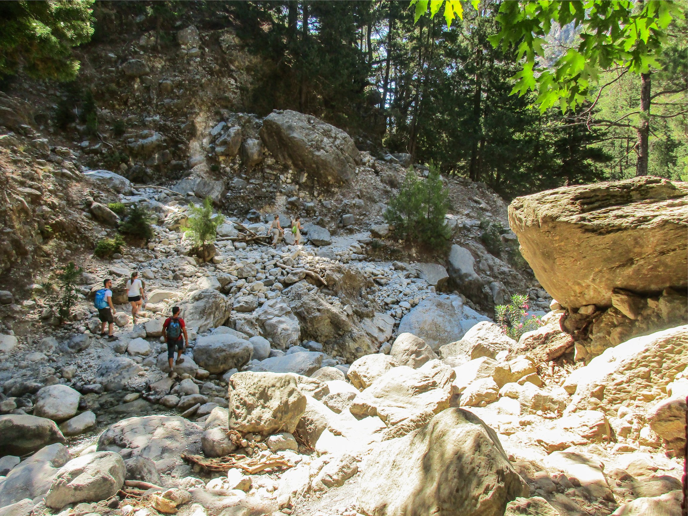 Samaria Gorge hike Crete — Xyloskalo descent, Iron Gates Sideroportes, kri-kri ibex, Agia Roumeli Libyan Sea — image 43